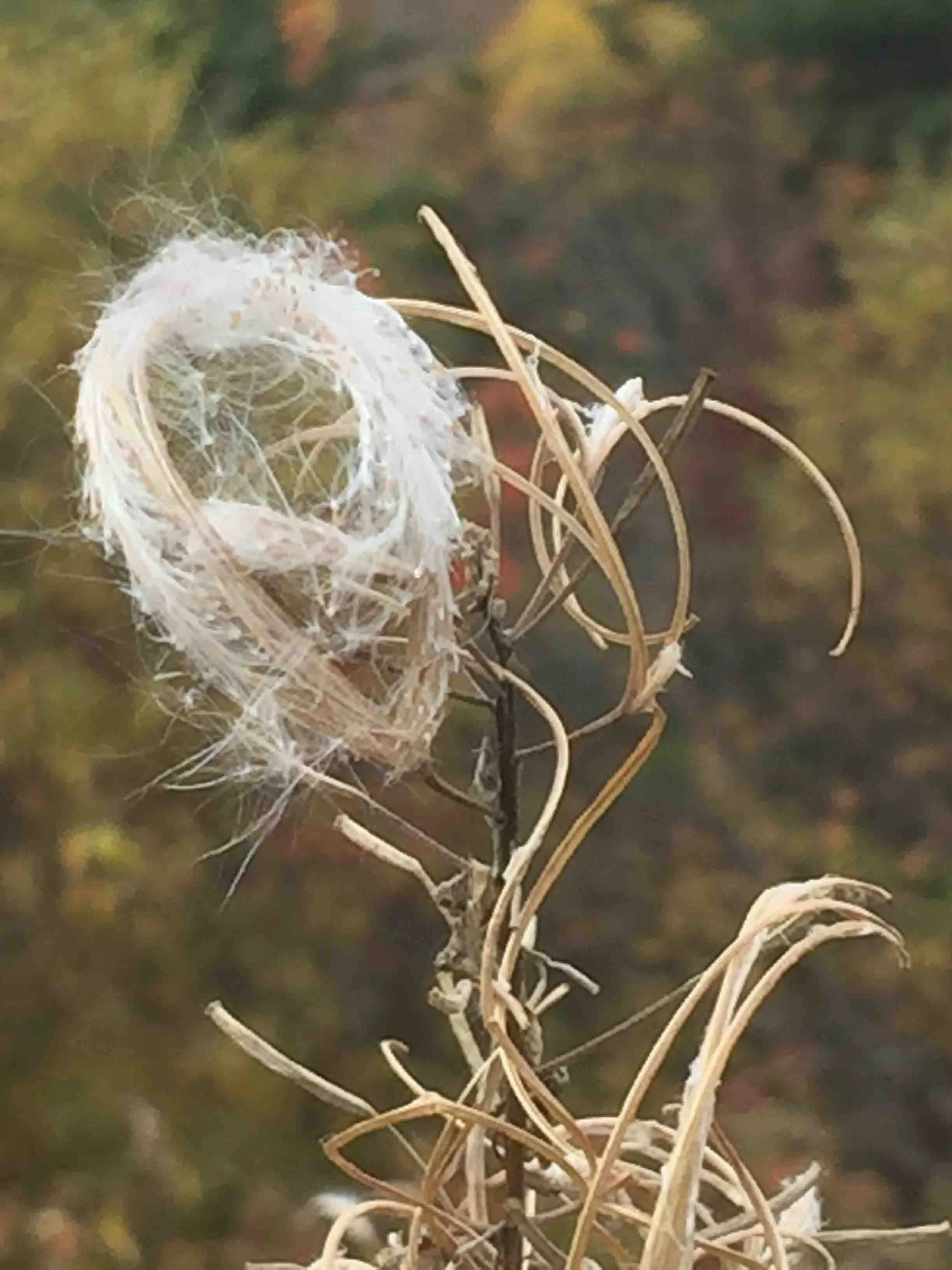 Cheryl Mitchell Climbing Rocks Studio ascension series (17).JPG