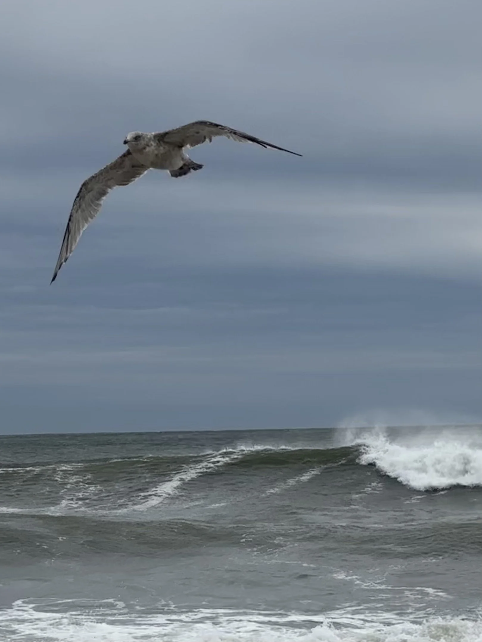 Cheryl Mitchell Climbing Rocks Studio ascension series (1).jpeg