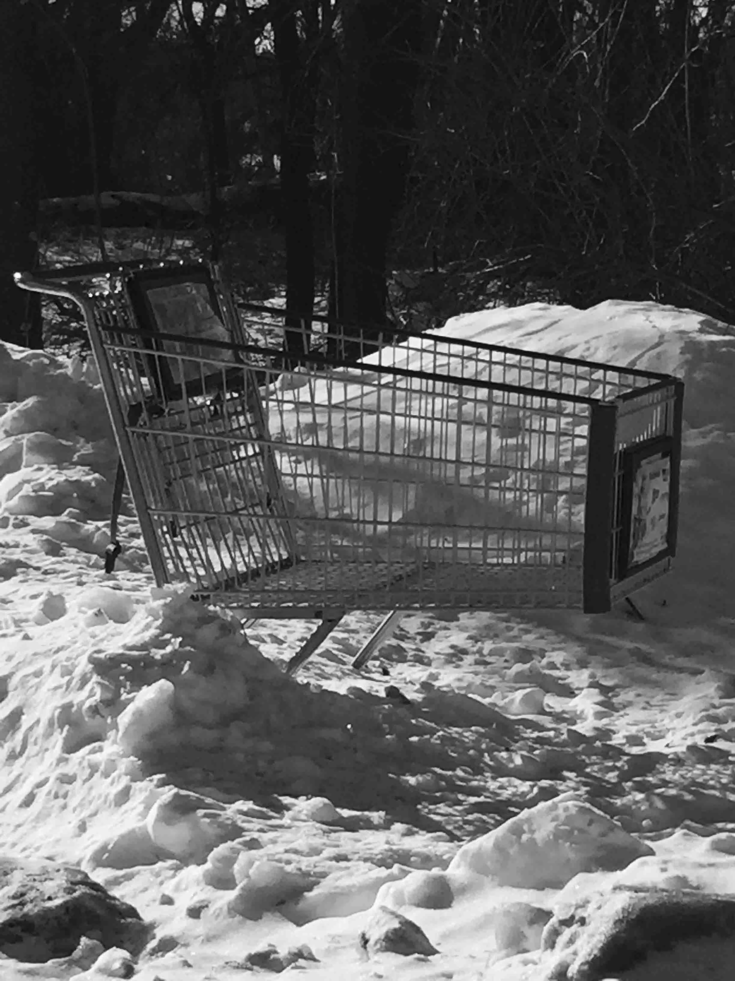 Cheryl Mitchell Agony Climbing Rocks Studio (25).JPG