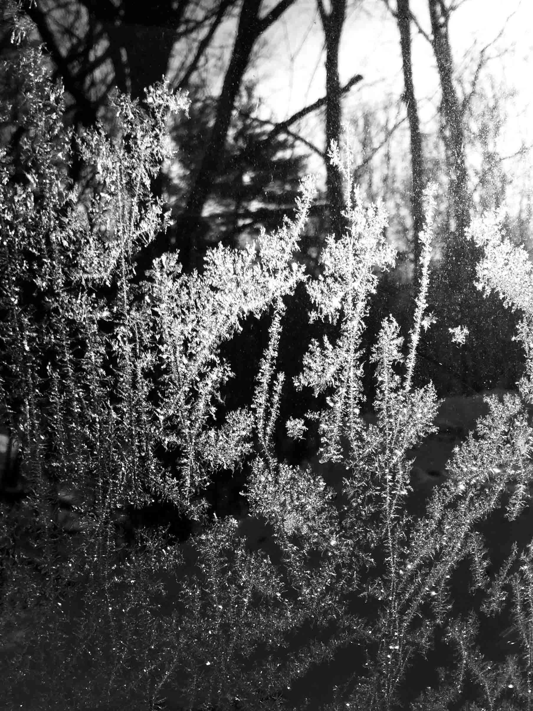 Cheryl Mitchell Agony Climbing Rocks Studio (5).JPG