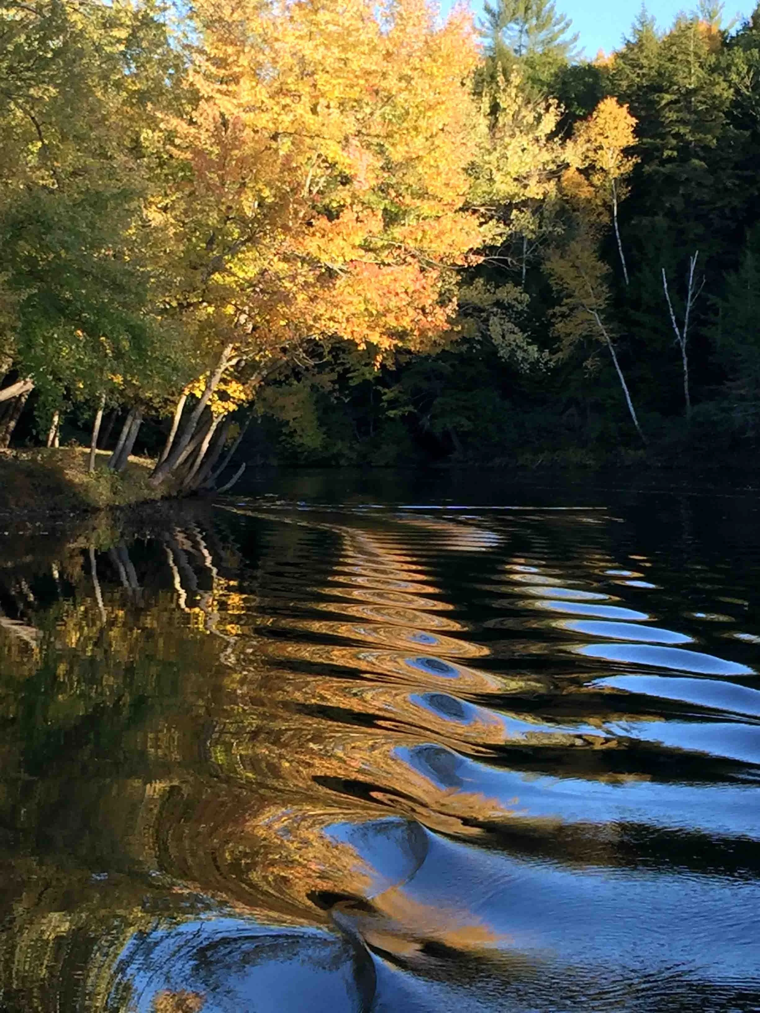 Cheryl Mitchell Acceptance Climbing Rocks Studio (11).JPG