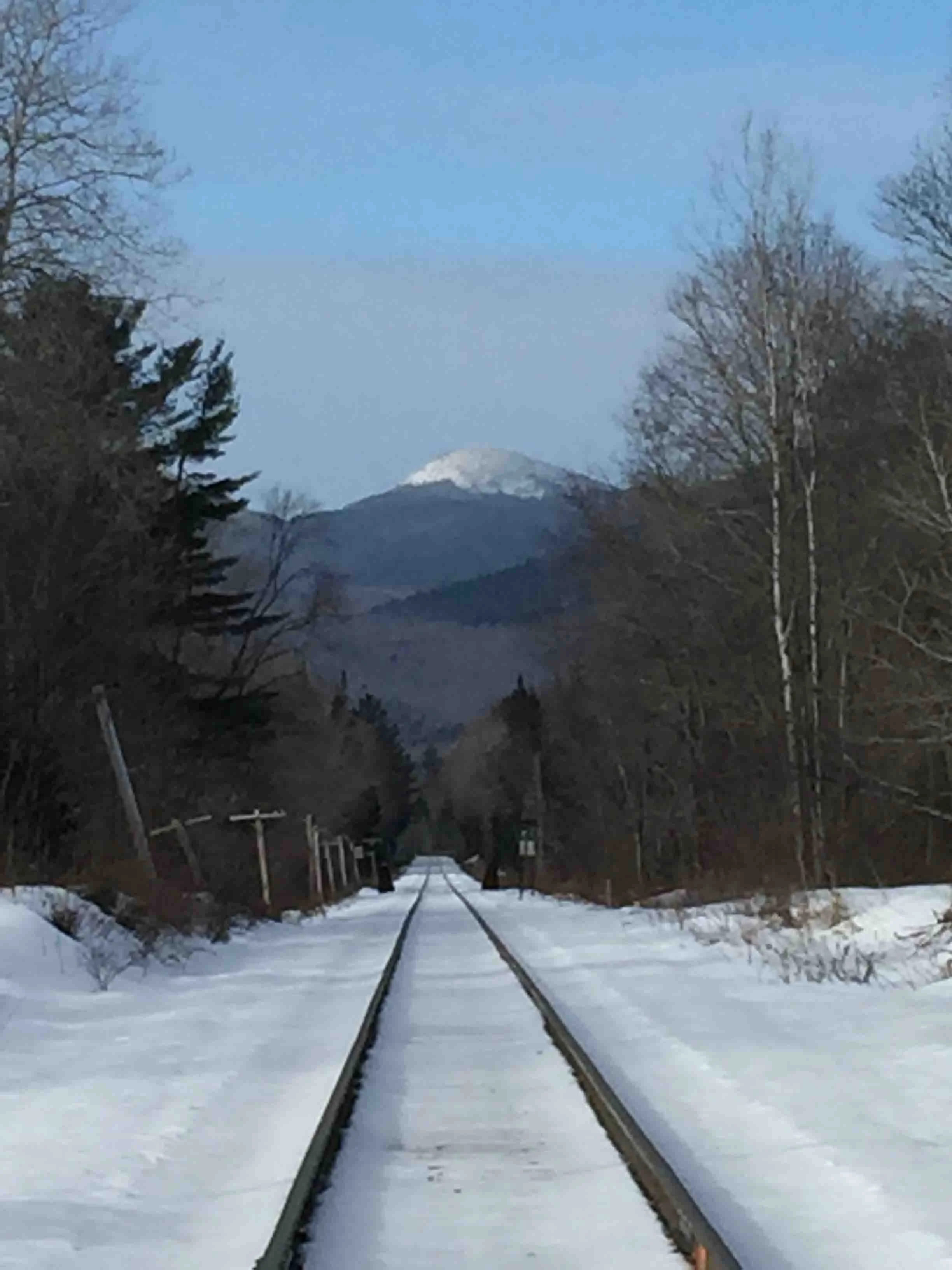 Cheryl Mitchell Agony Climbing Rocks Studio (14).JPG