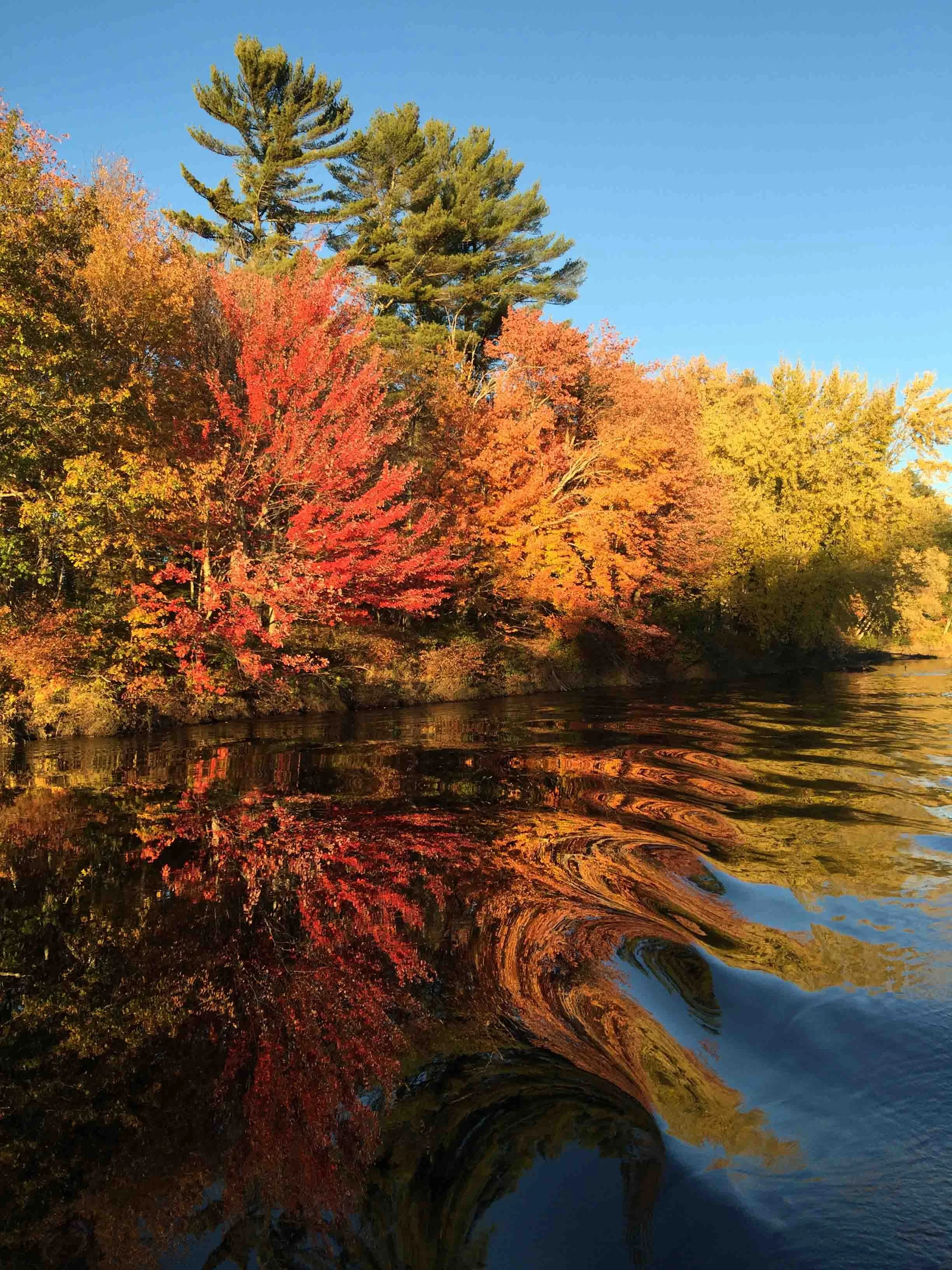 Cheryl Mitchell Acceptance Climbing Rocks Studio (12).JPG