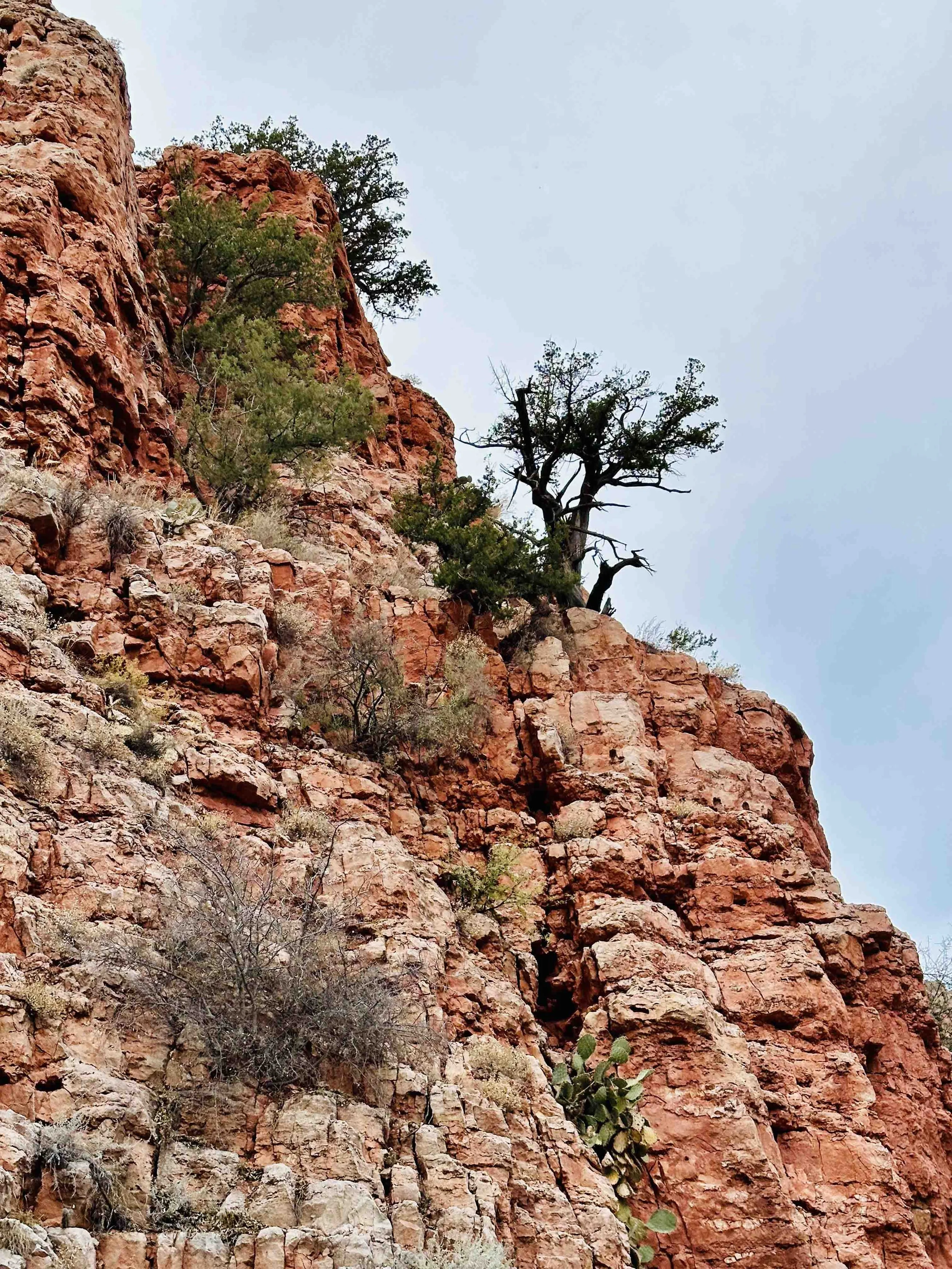 Cheryl Mitchell Climbing Rocks Studio ascension series (11).jpg