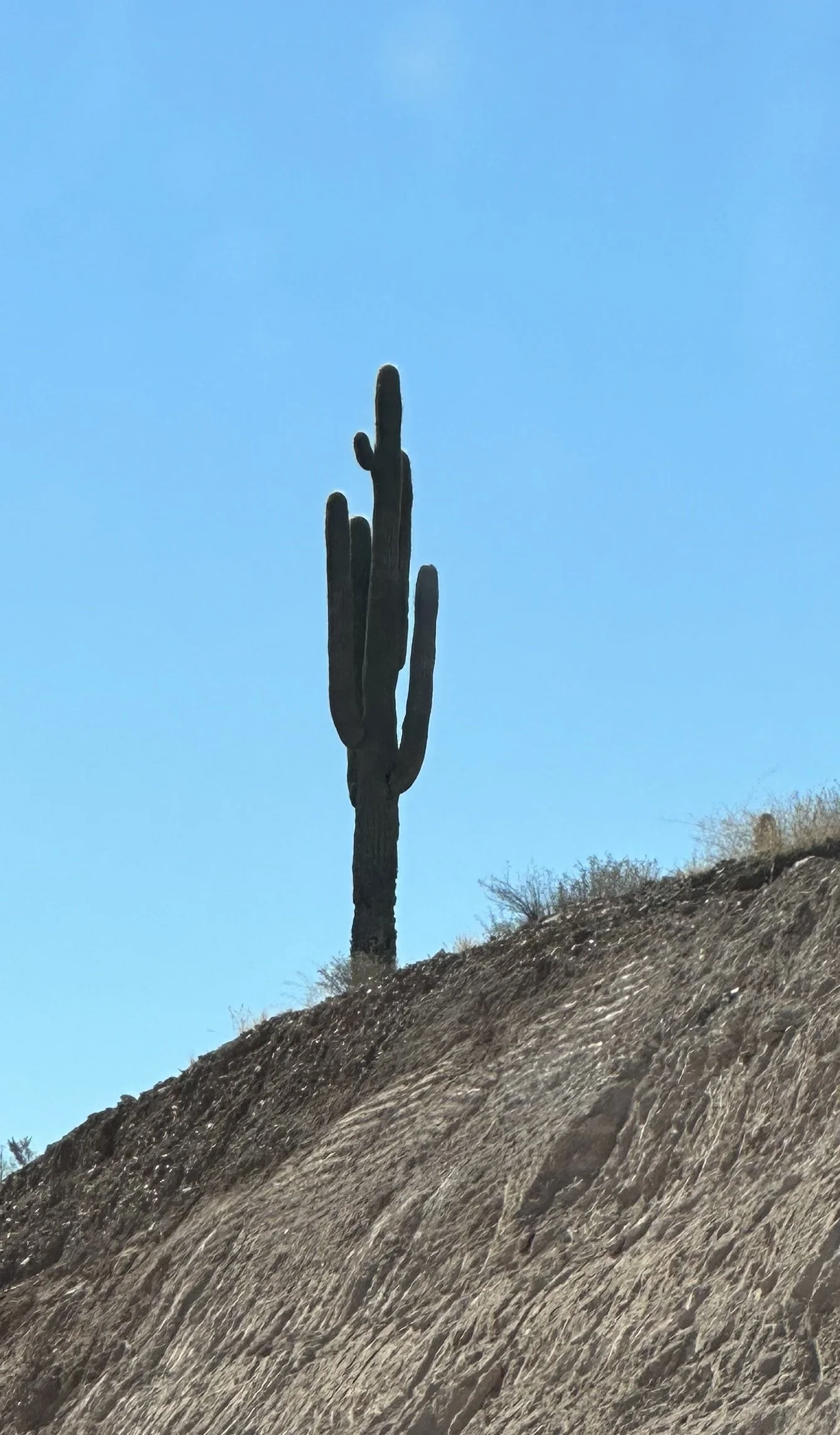 Cheryl Mitchell Agony Climbing Rocks Studio (1).jpeg