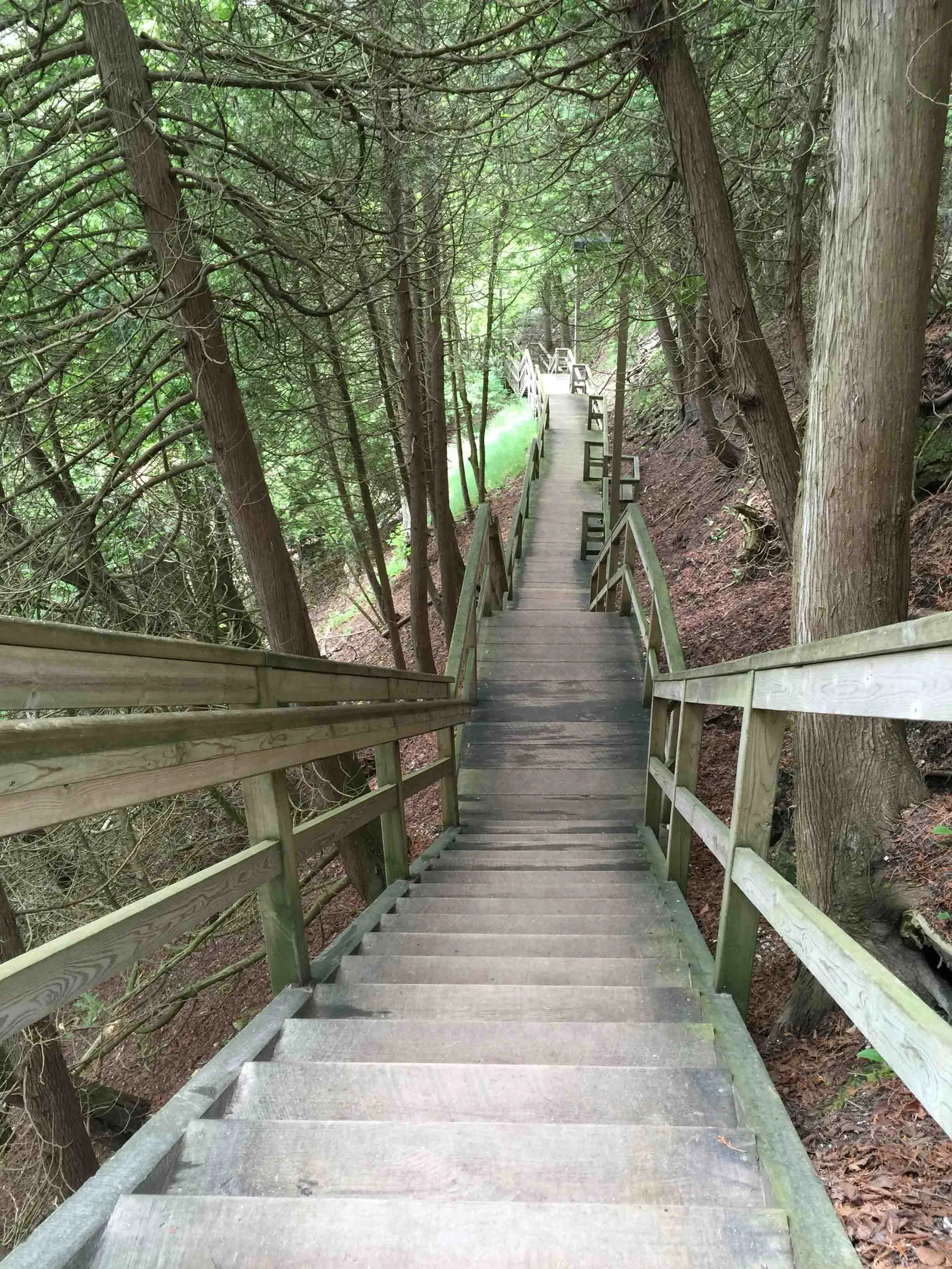 Cheryl Mitchell Agony Climbing Rocks Studio (12).JPG