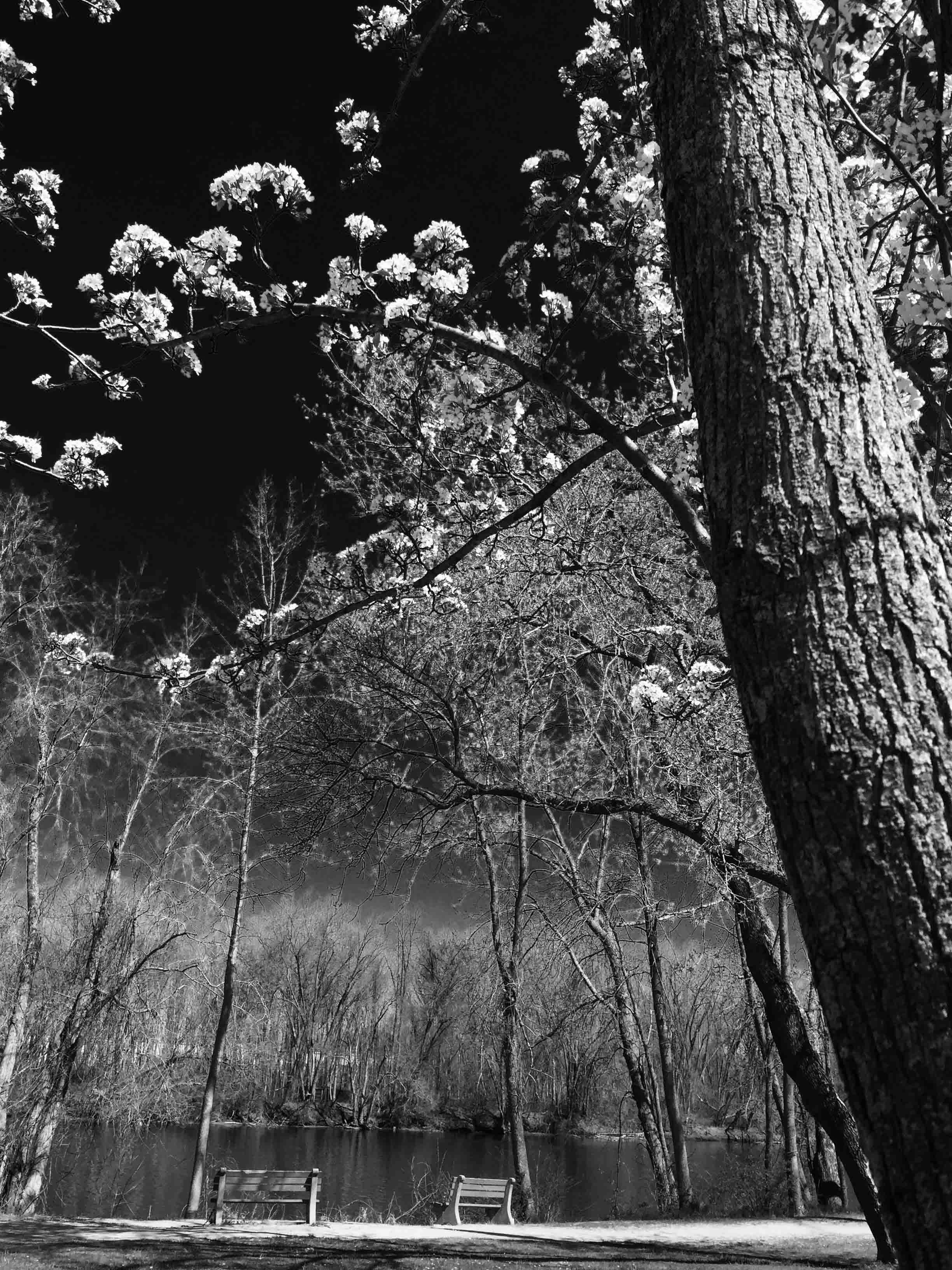 Cheryl Mitchell Climbing Rocks Studio ascension series (16).JPG