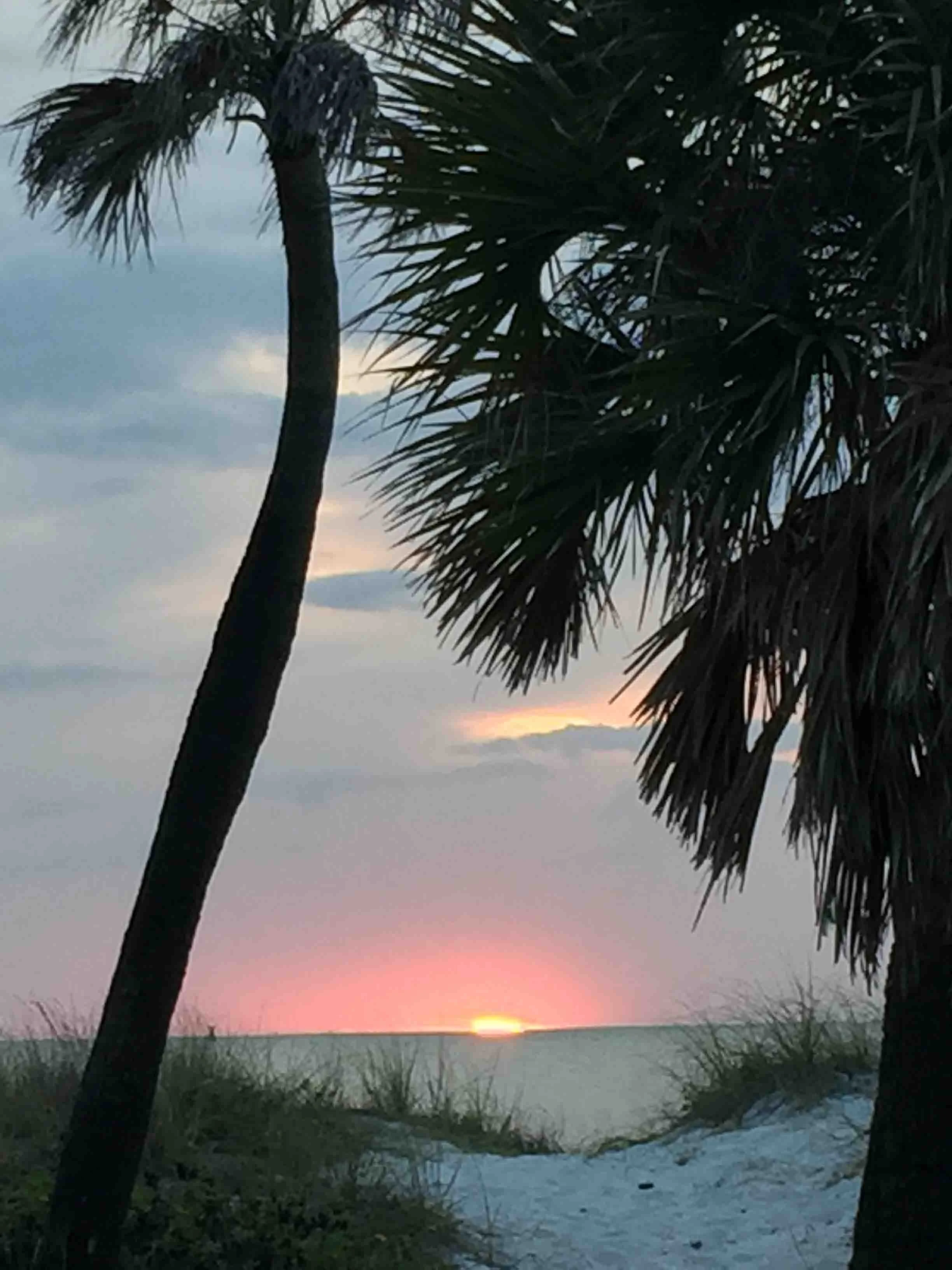 Cheryl Mitchell Climbing Rocks Studio ascension series (24).JPG
