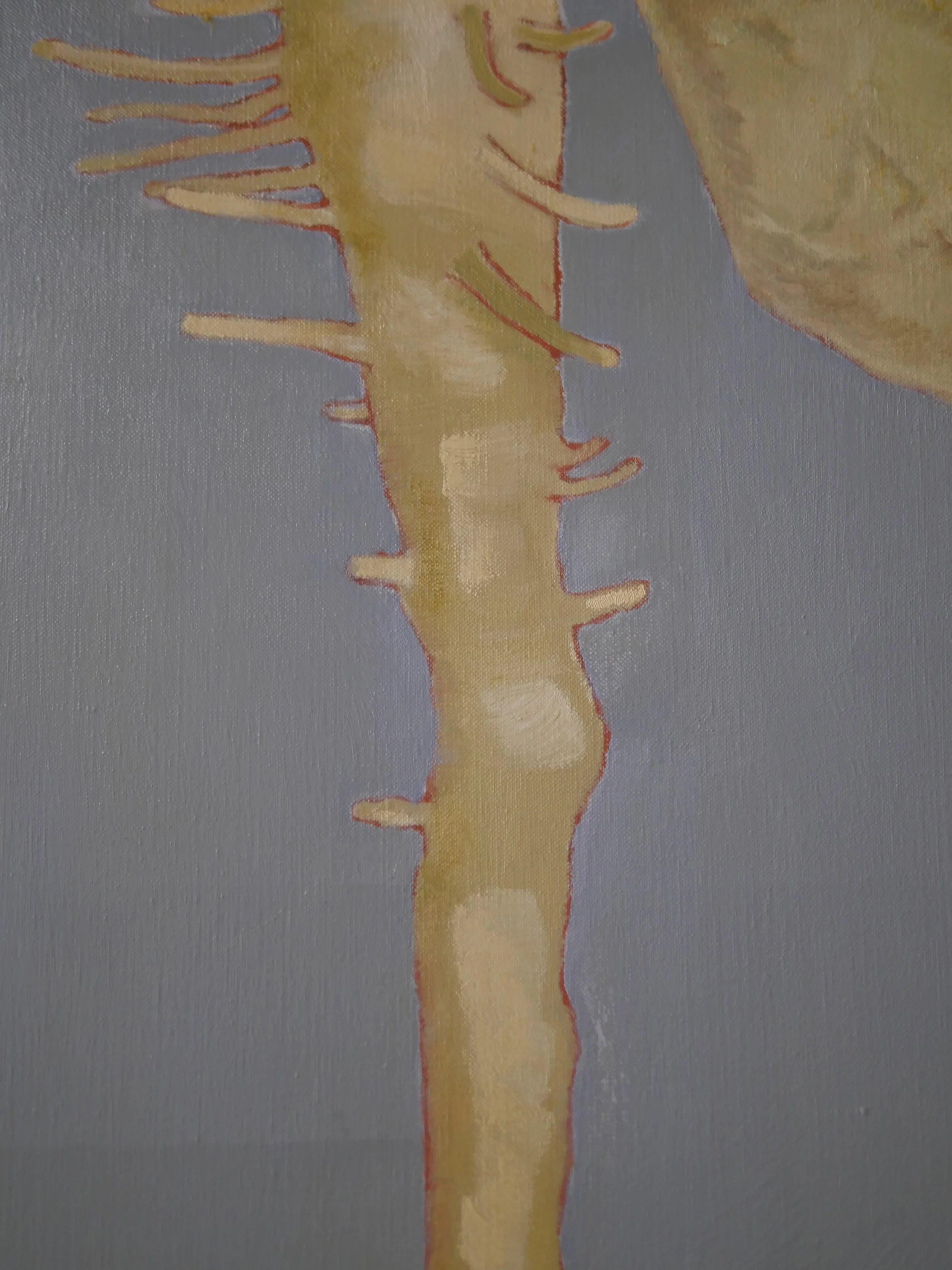 P2290241.JPG