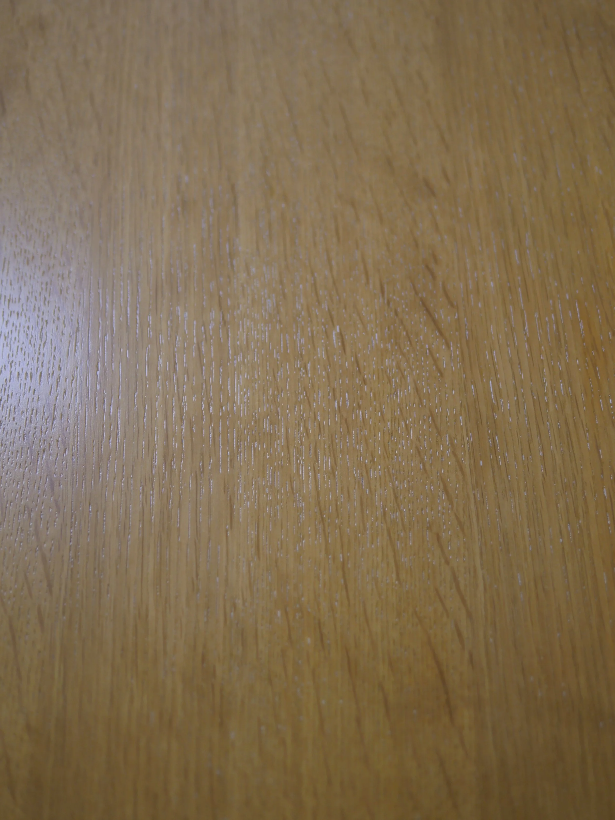 P2280445.JPG