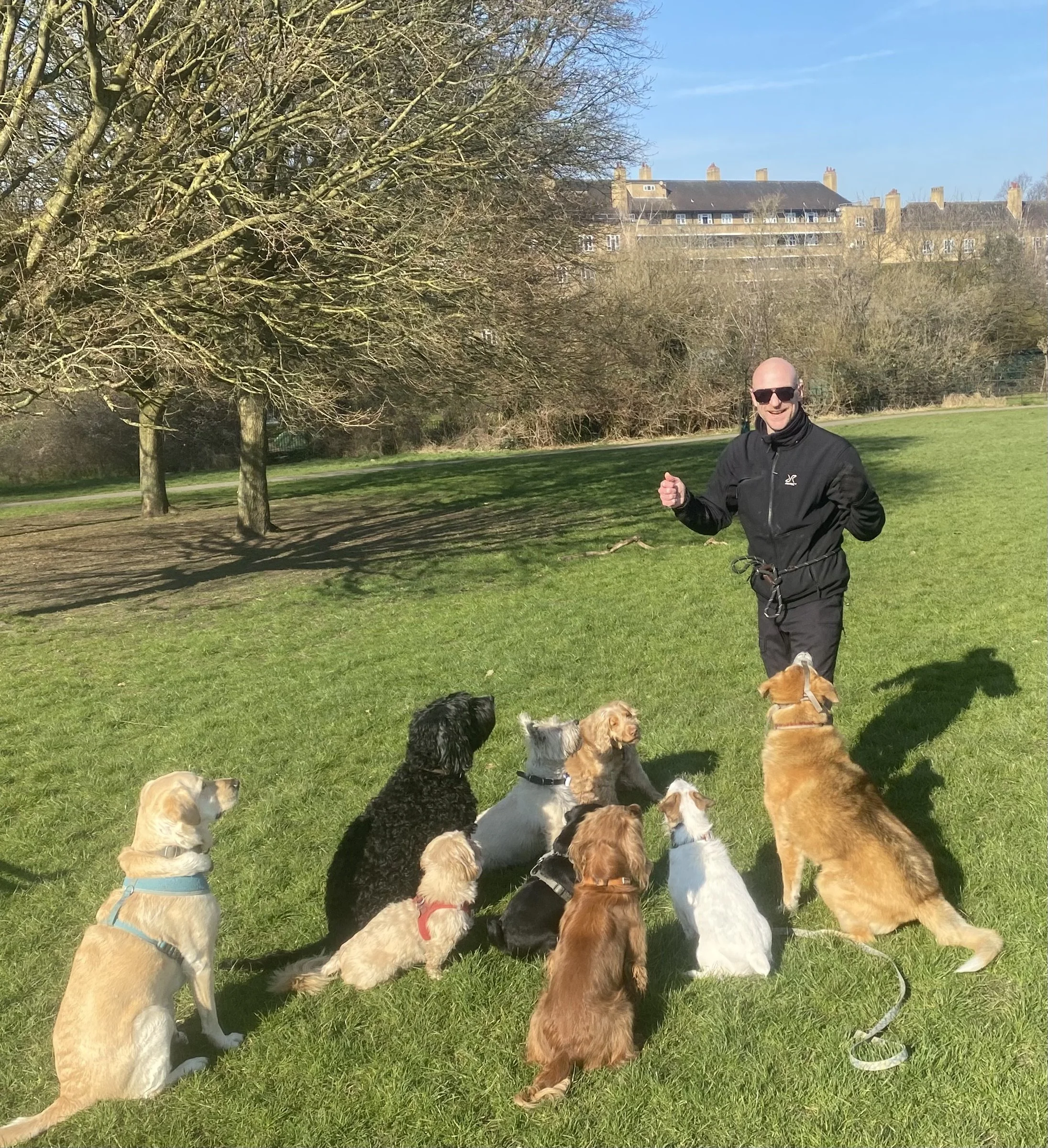 Nick, founder of South London Dog Training and Level 4 certified canine behaviourist