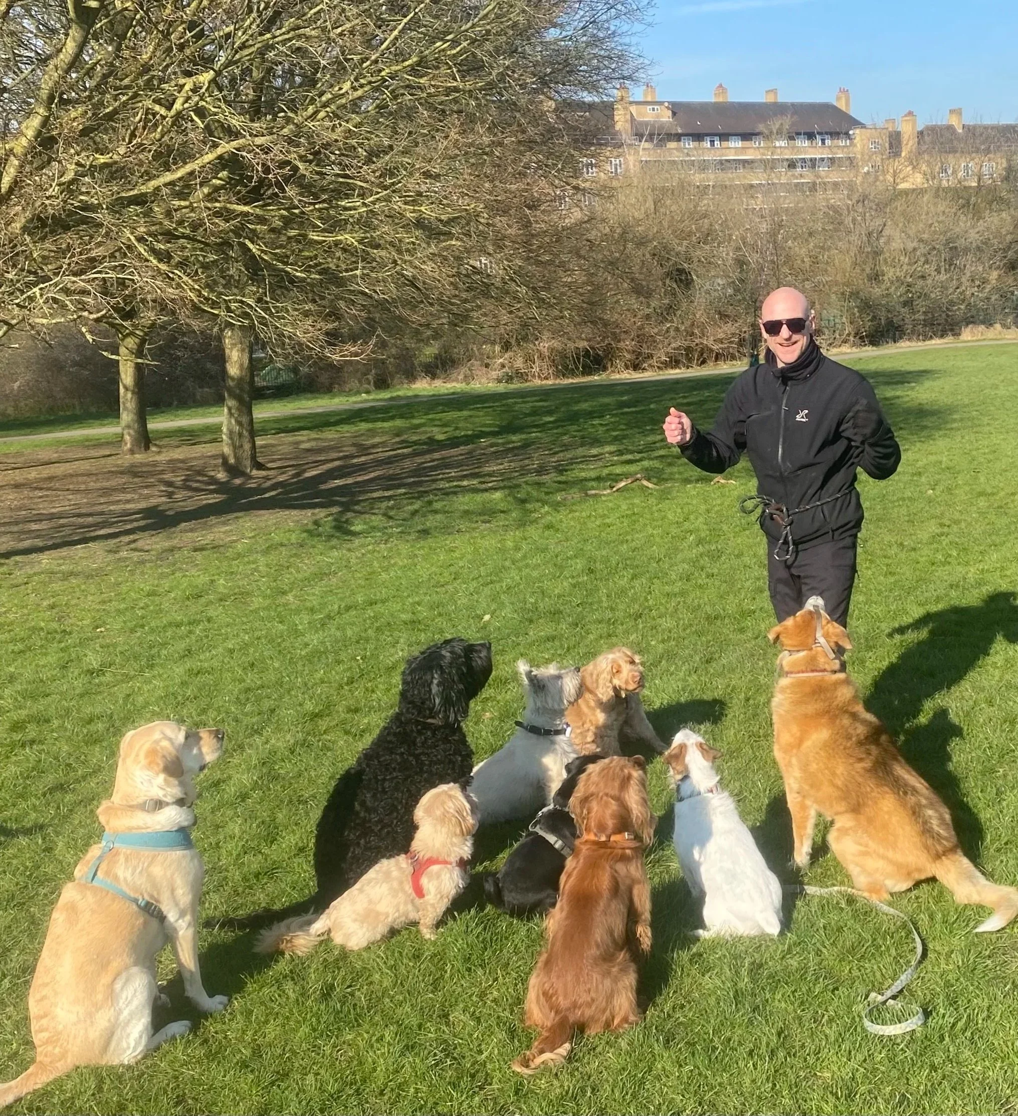 Nick Training a Group of Dogs in Brockwell Park, Brixton, South London.
