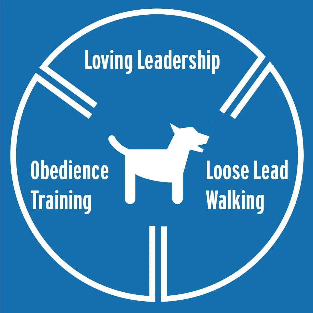 Blue circular dog training diagram with segments labeled Loving Leadership, Obedience Training, Loose Lead Walking, featuring a white silhouette of a dog in the center.