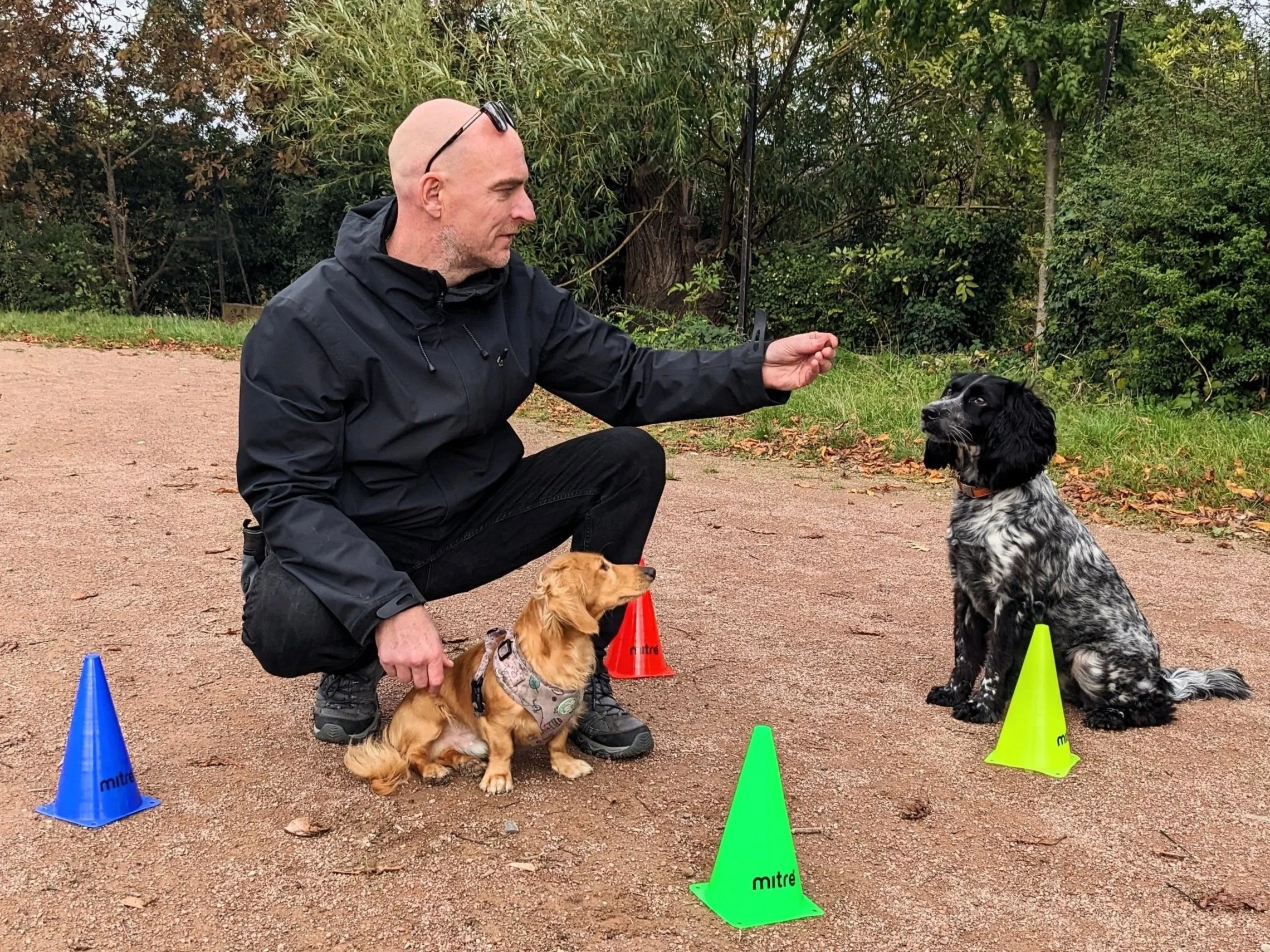 Training your dog builds trust and confidence