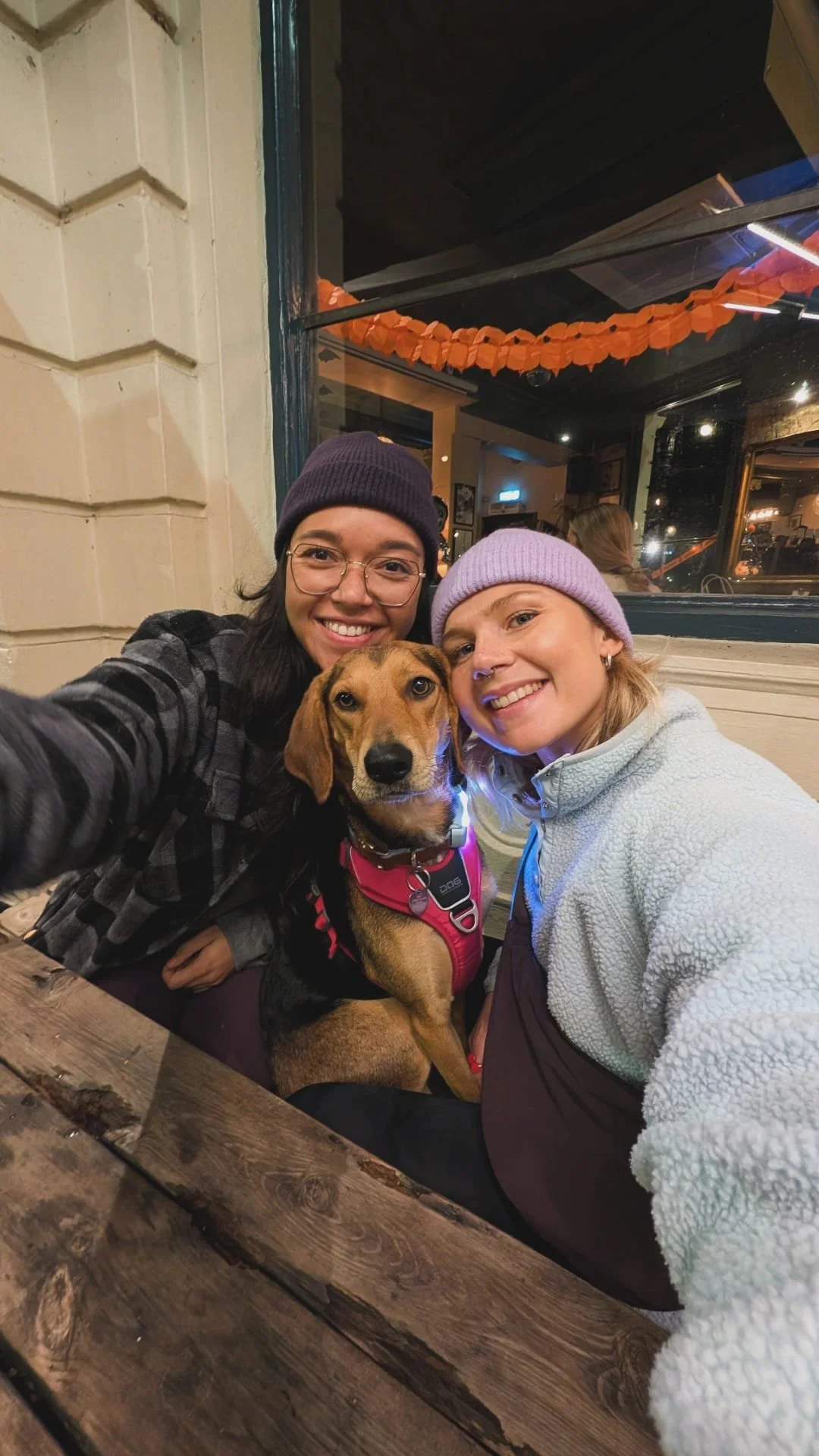 Slip lead training and reactivity training