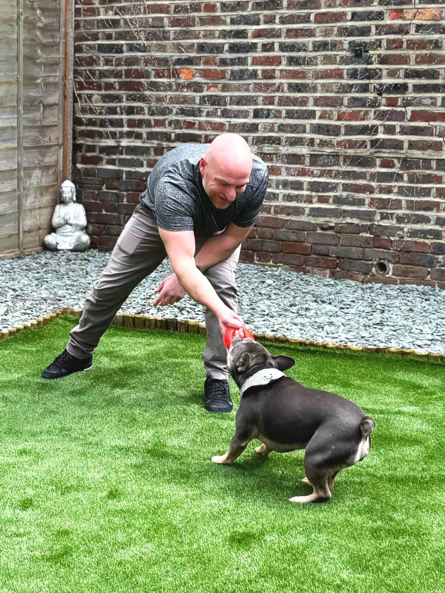 Playing with a dog in Daycare in South London Dog Training