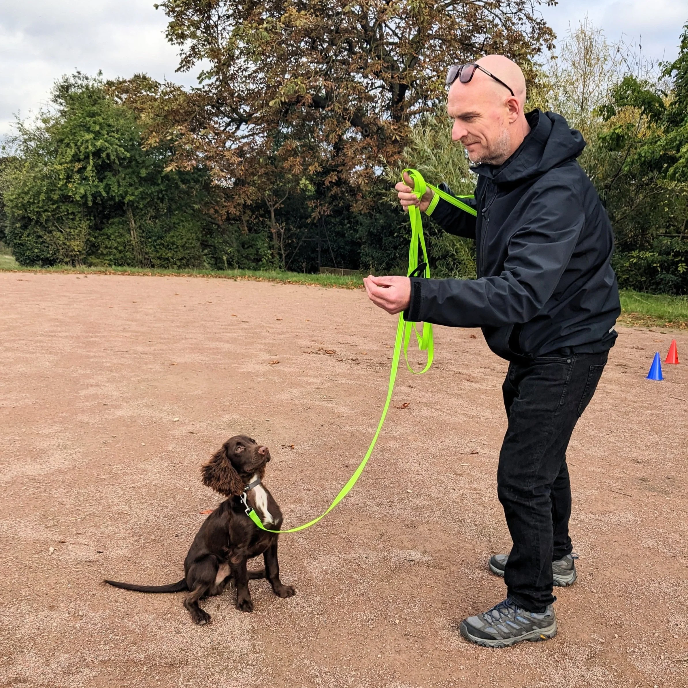 Training recall builds trust and confidence