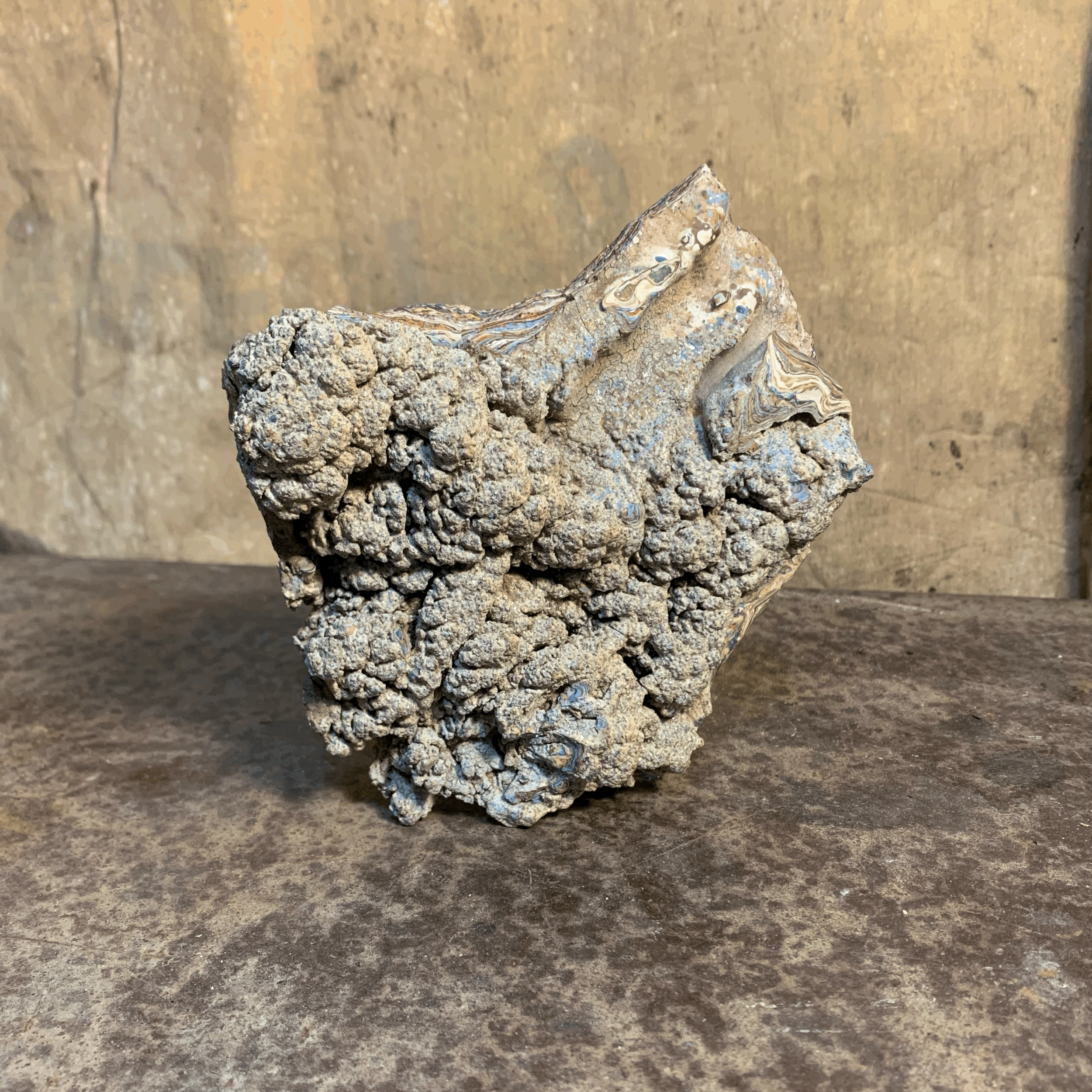 Fordite
