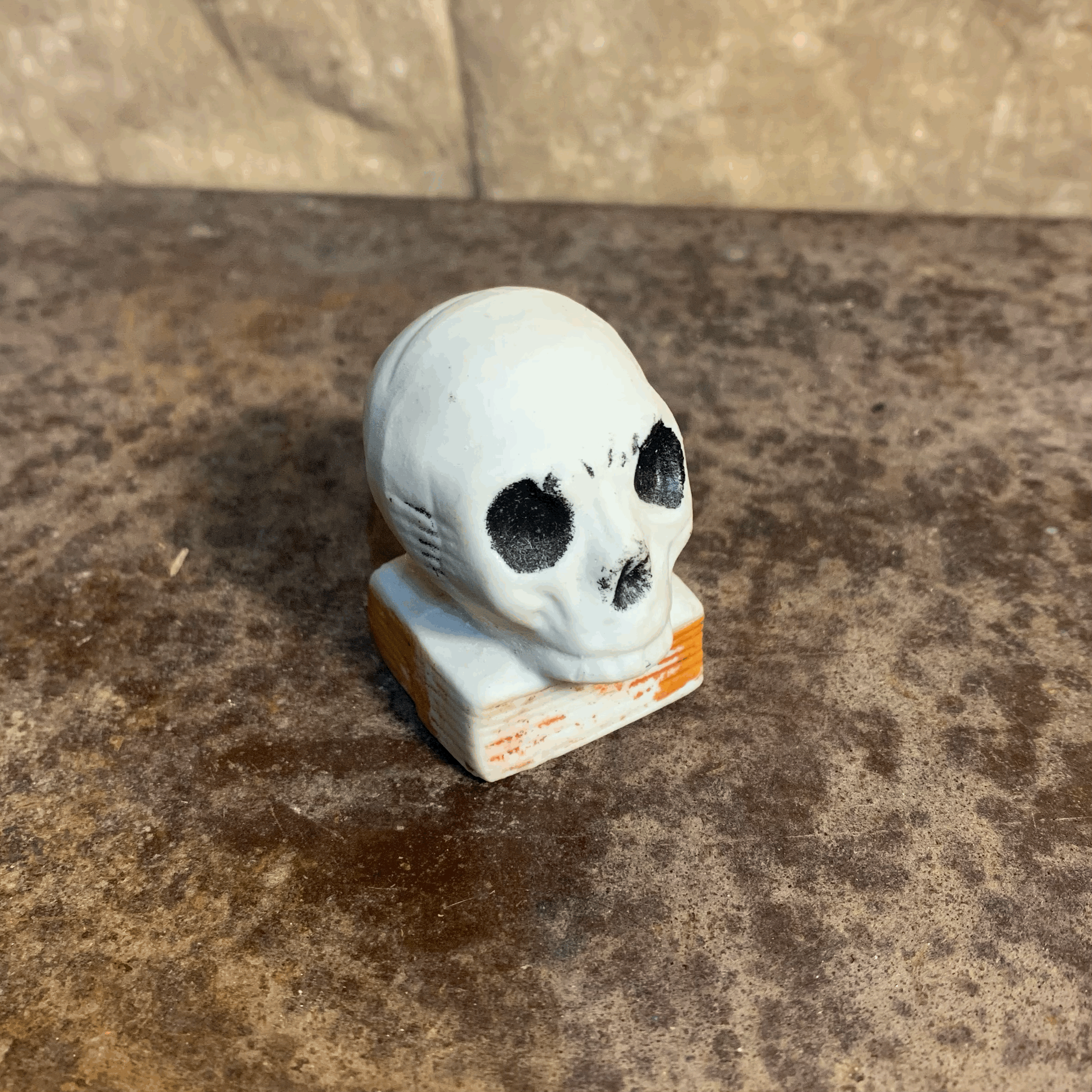 Bisque Skull on Book