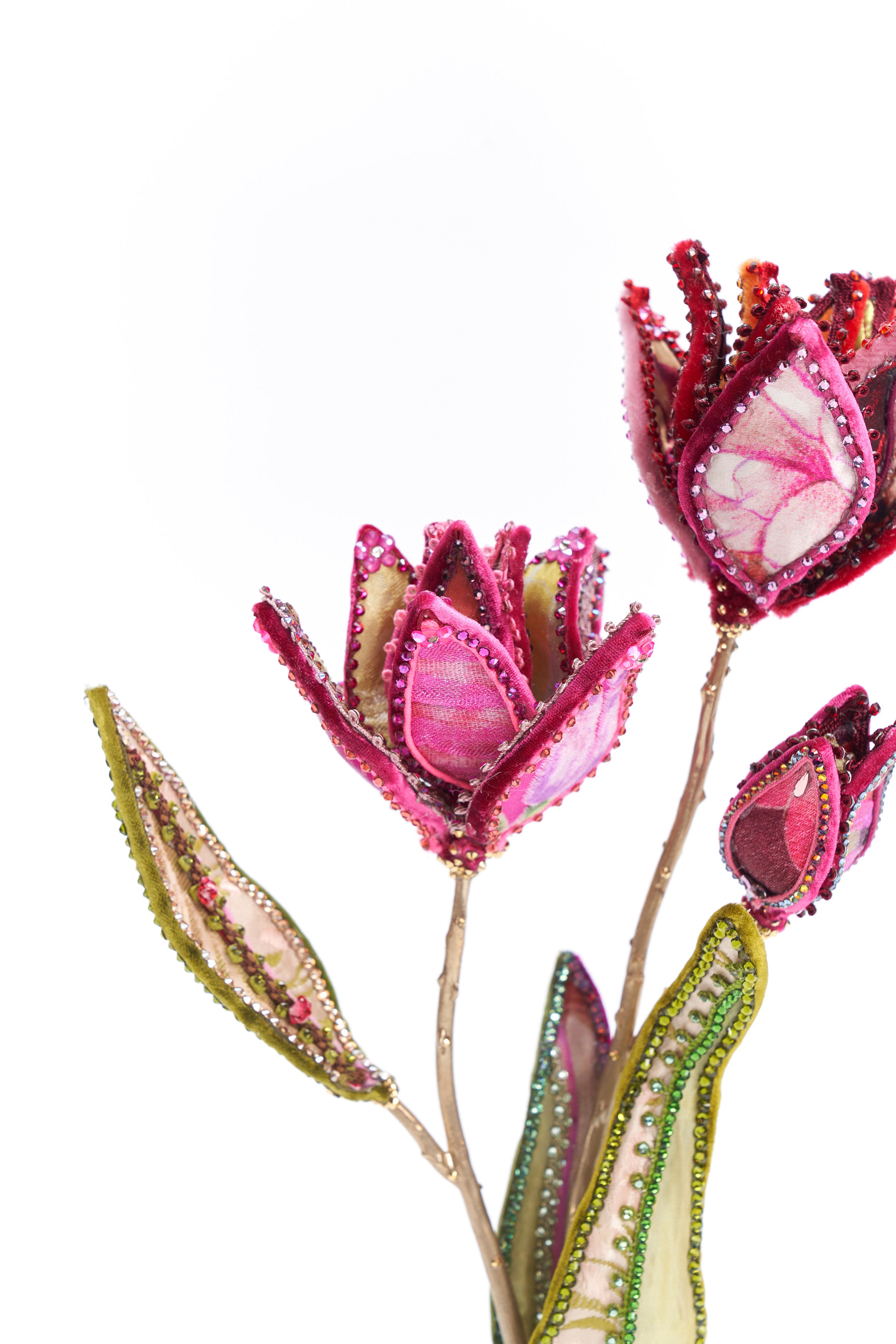 August2021-GardenFlowers0046.jpg