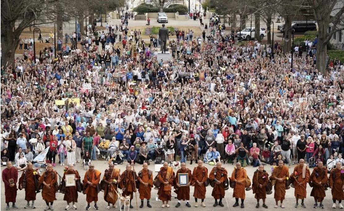 Silence is not an Option