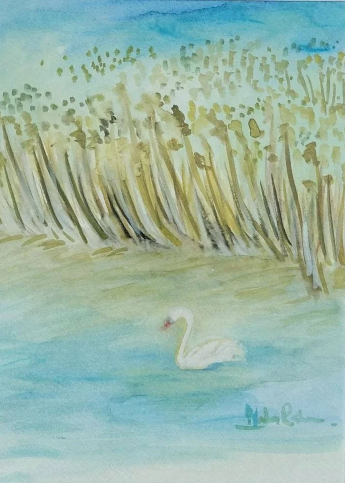 Lost In The Wild #801