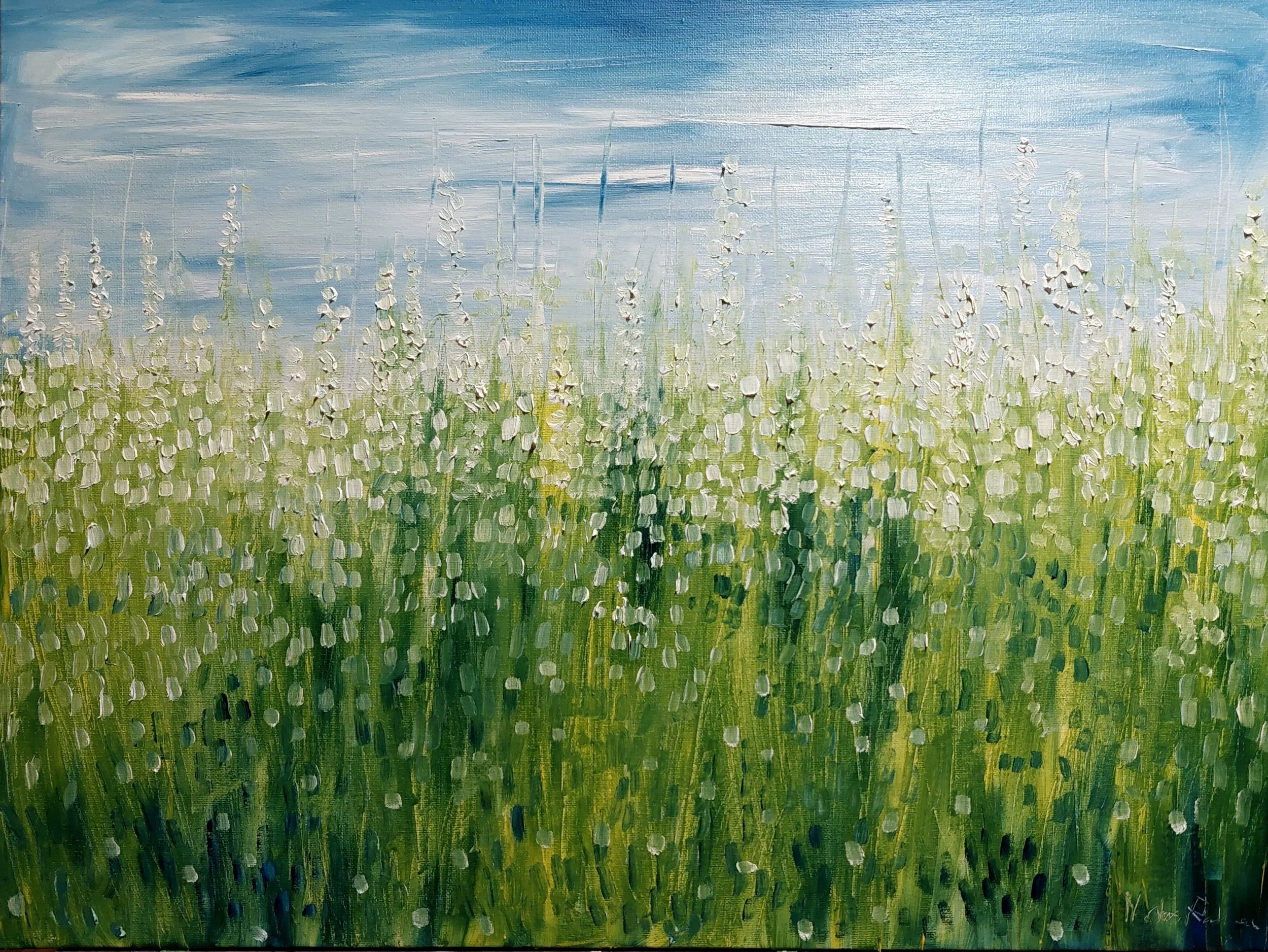 Summer Meadow