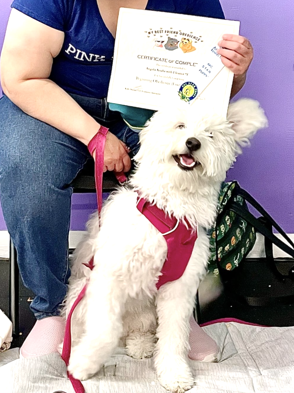 Screenshot 2024-11-08 at 3.45.19 PM.png