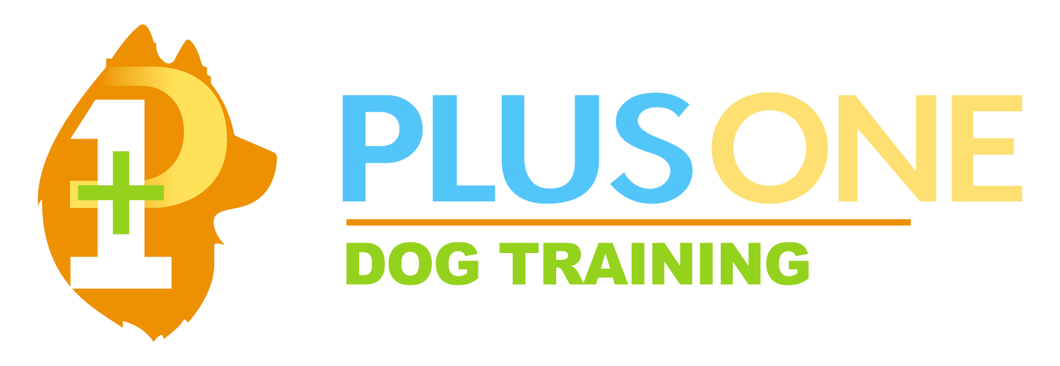 Plus One Dog Training