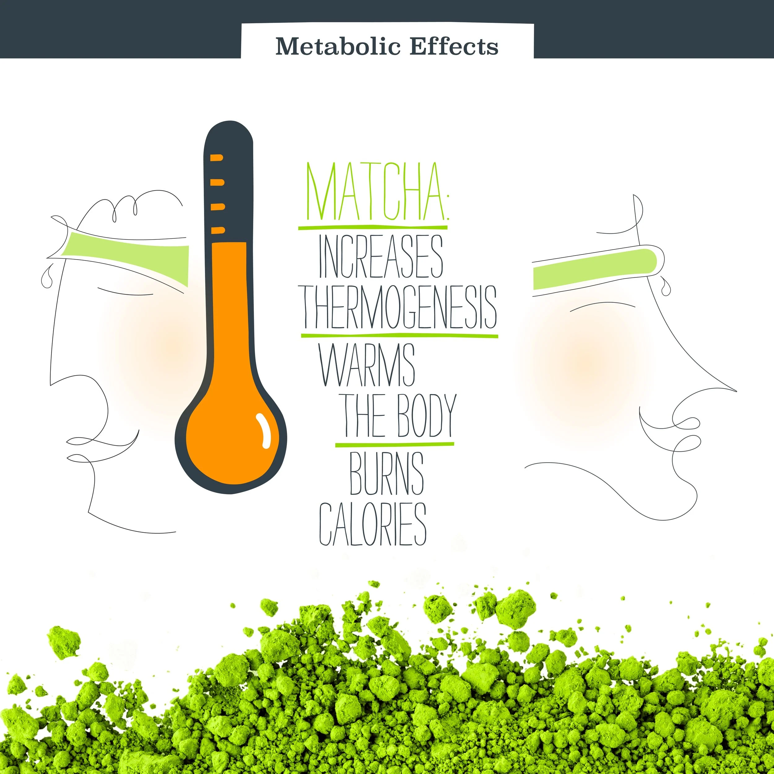 organic evolution matcha metabolic effects