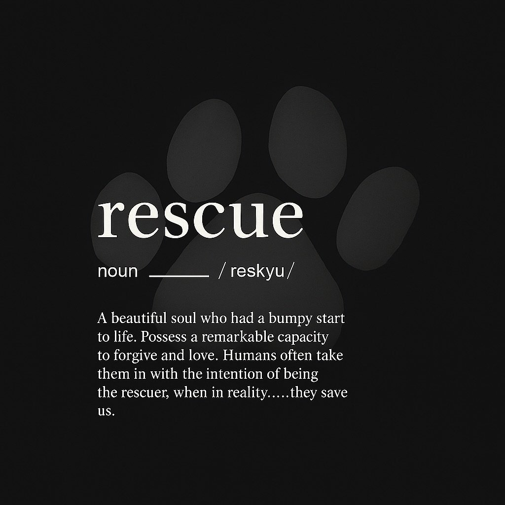 Rescue isn’t just about saving dogs…
it’s about how they save us too 🤍
Every rescue dog carries a story… of hope… resilience… and a heart that still chooses love…
They may come to us with bumpy start