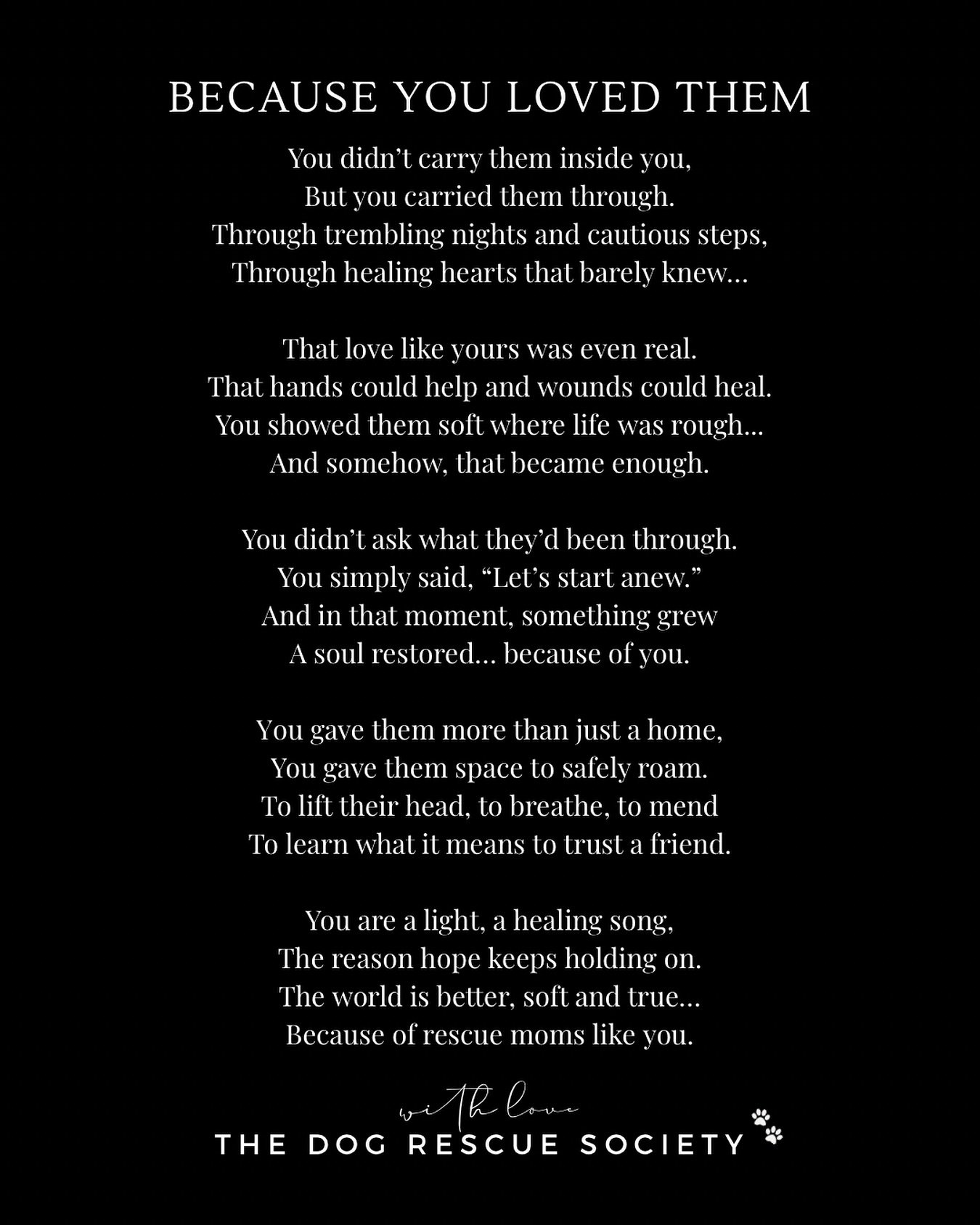To every rescue mom, foster mom, and soul who chose to love…
Happy Mother’s Day. ๐
You may not have given them life,
but you gave them the life they dreamed of.
You were their safe place,
their soft landing, their forever.
Today, we