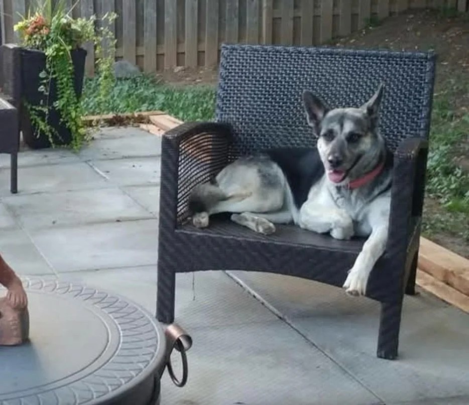 ZENA