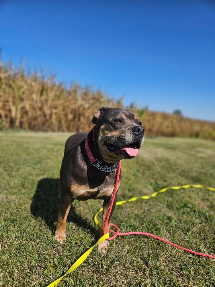 5DA41413-CC6C-4020-89E3-54331F4A524D 3.JPG