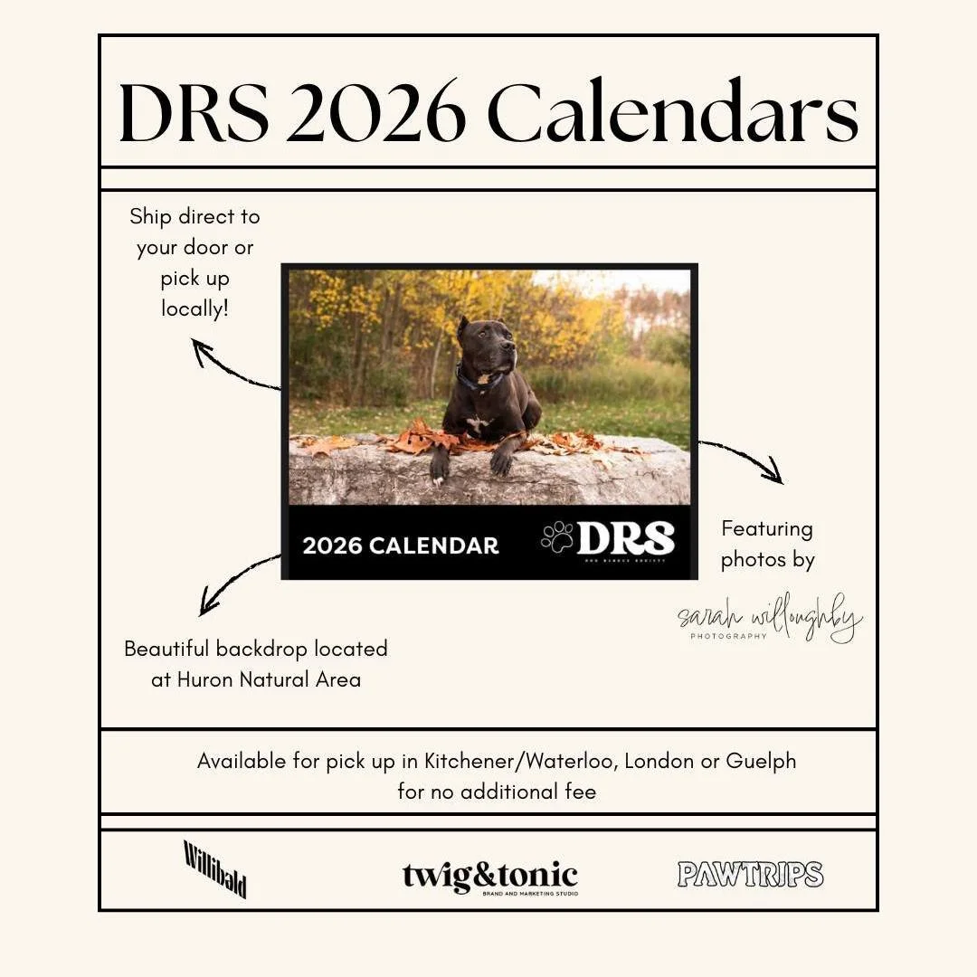🎉🐾 Our 2026 Dog Rescue Society Calendar is officially HERE &mdash; and it&rsquo;s absolutely gorgeous! 

Thank you to everyone who entered, voted, and cheered on the pups in our Calendar Contest. And a huge congrats to our cover star Rusty &mdash; 