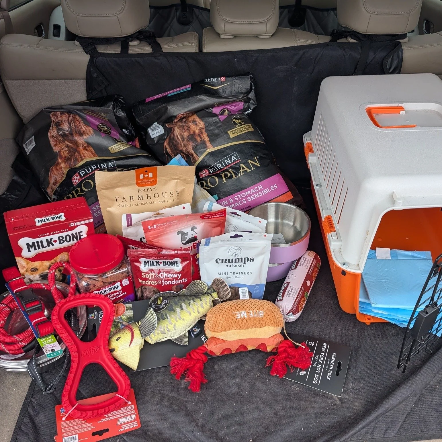 🎀🐾 A Huge Thank You to the Frilled Sharks @cheersportsharks1 

This incredible youth cheer team truly brought the spirit this season - not just on the mat, but straight into the hearts of our rescue dogs. 💛

They organized a Christmas donation dri