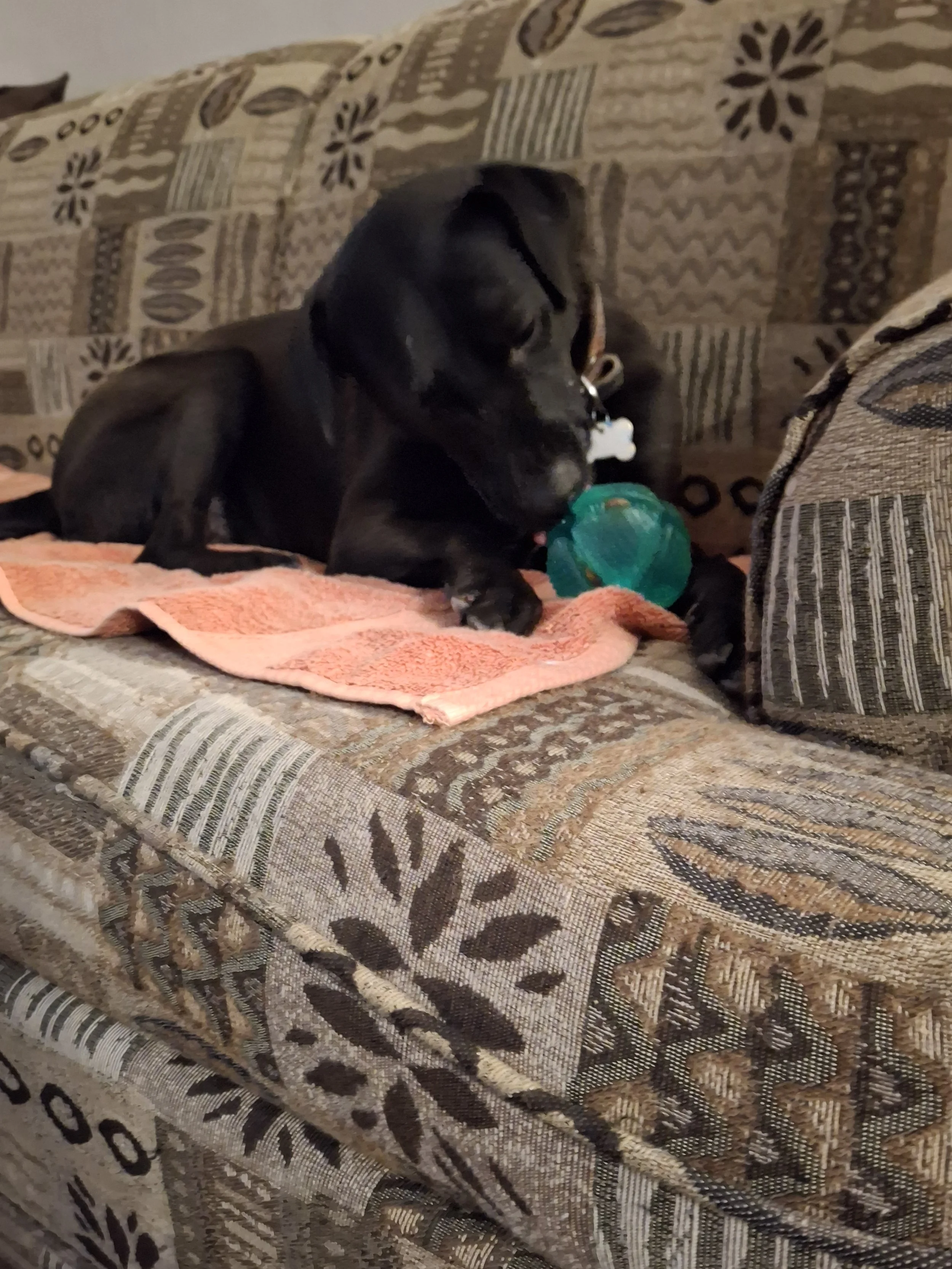 Nikki pic 3B for DSR.jpg