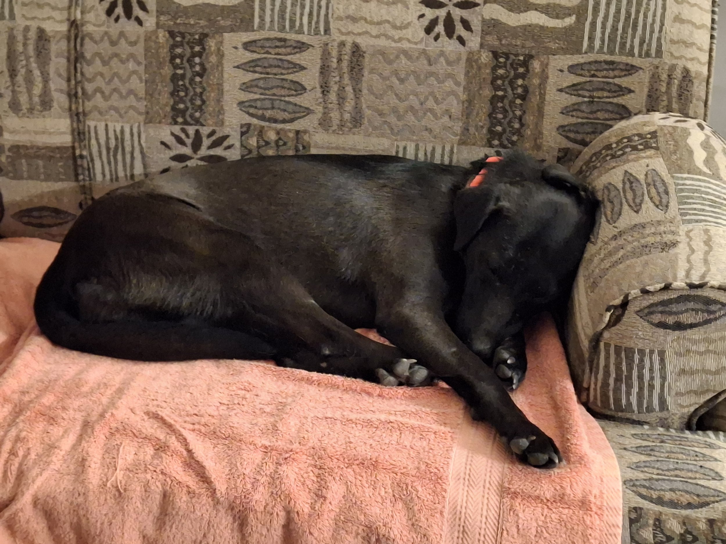 Nikki pic 6 for DSR.jpg