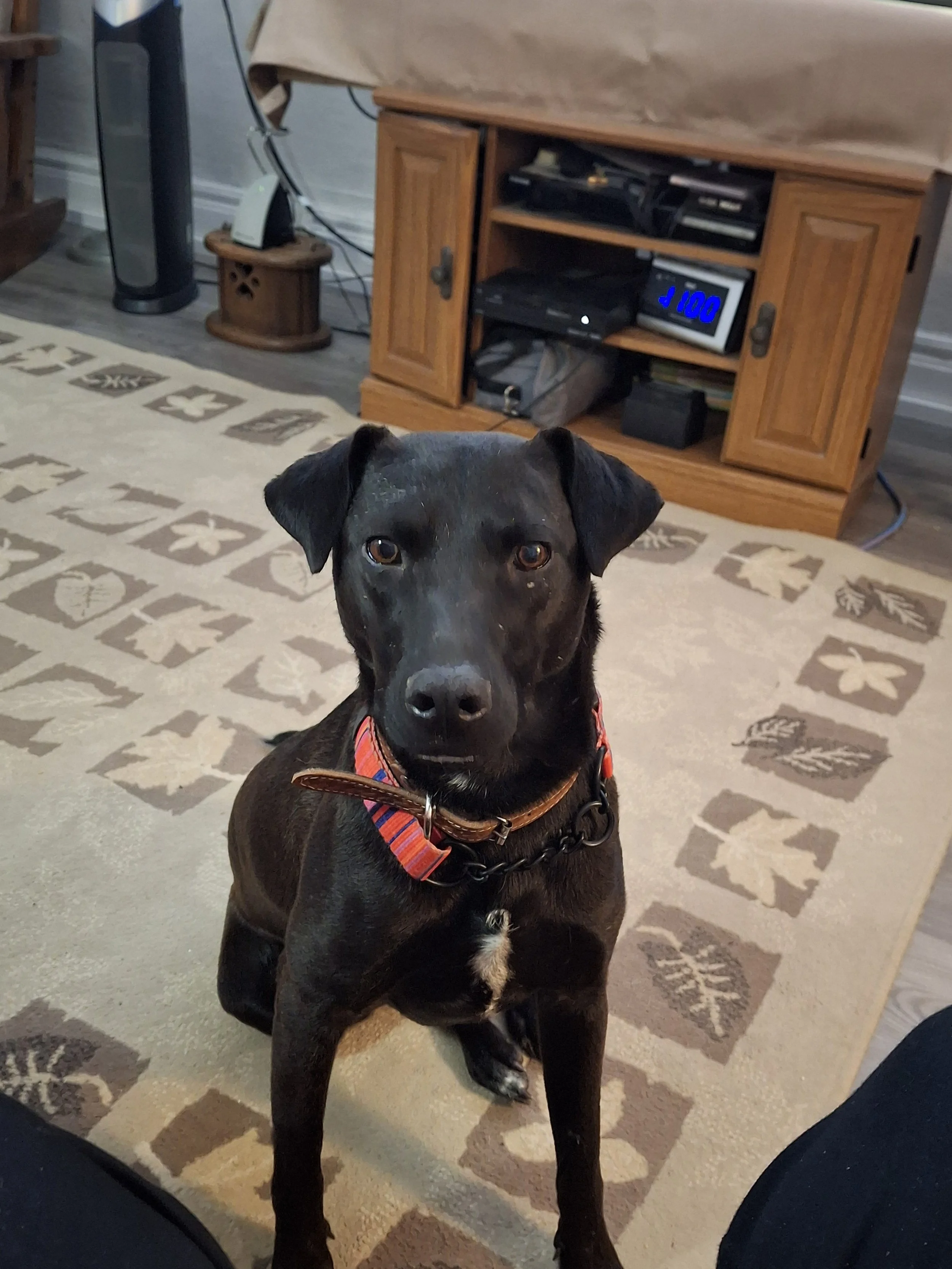 Nikki pic 5 for DSR.jpg