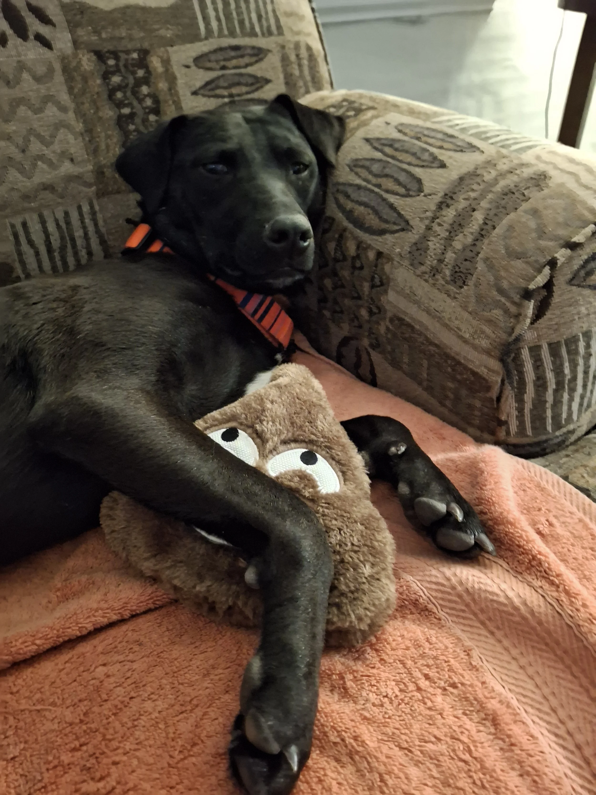 Nikki pic 4 for DSR.jpg