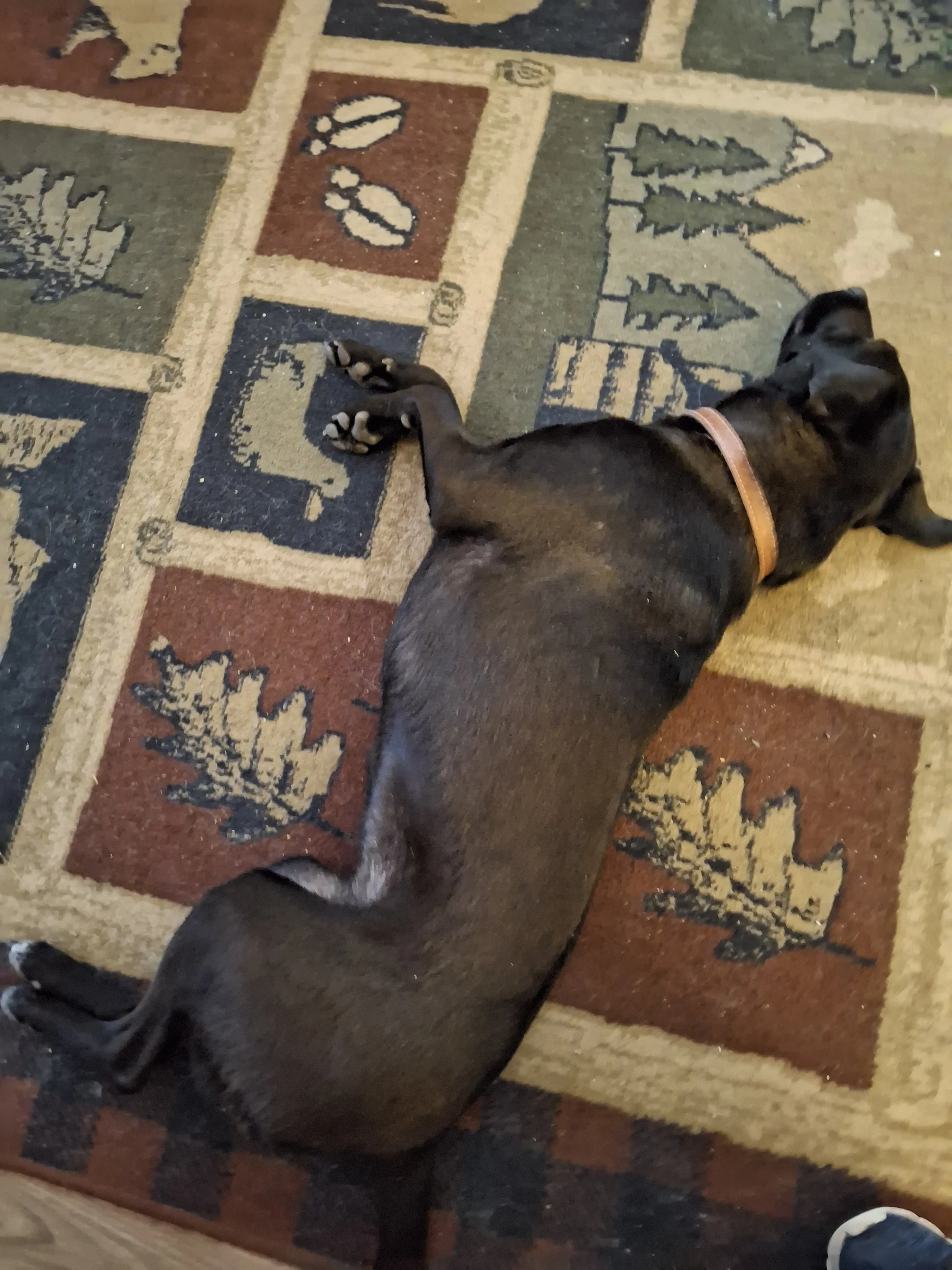 Nikki pic 3 for DSR.jpg