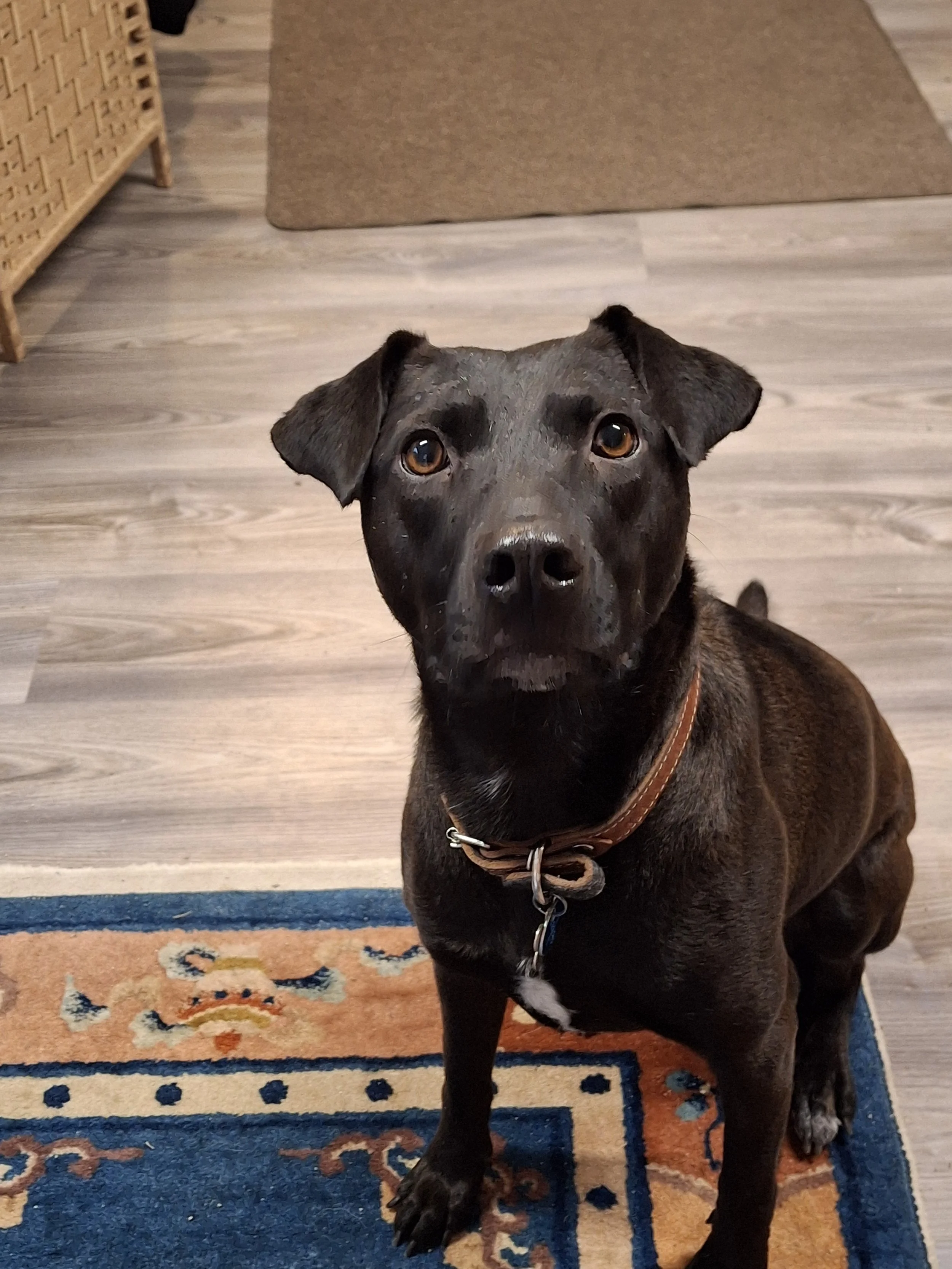 Nikki pic 2 for DSR.jpg