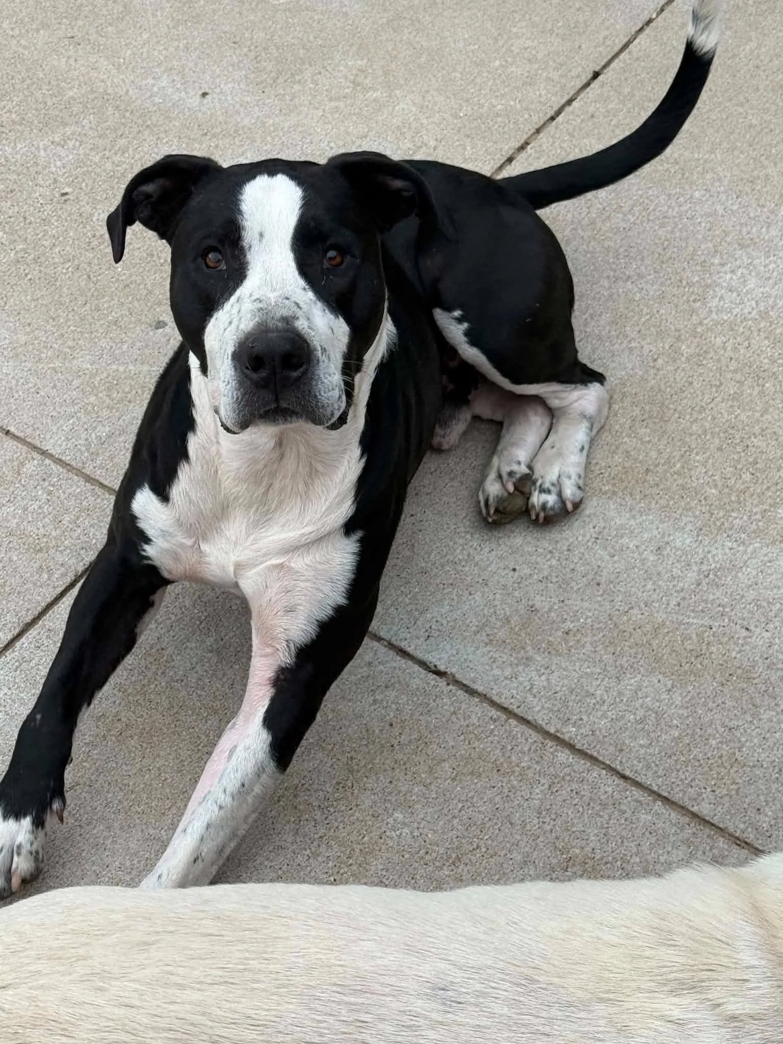 max