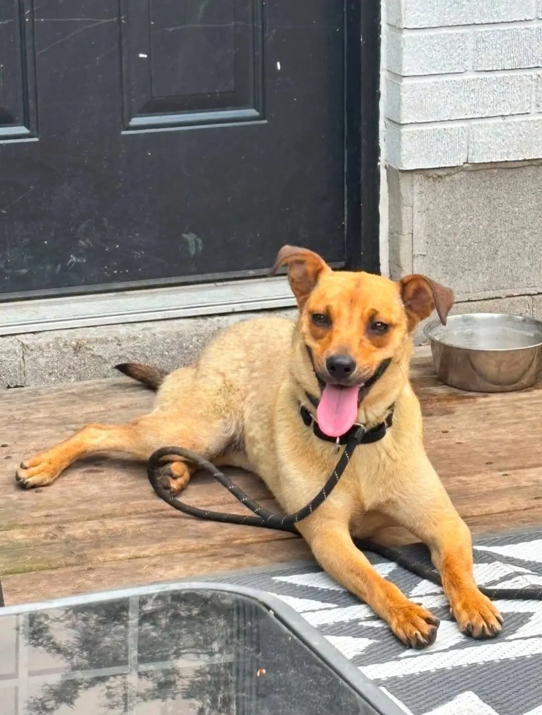 1000091588.jpg
