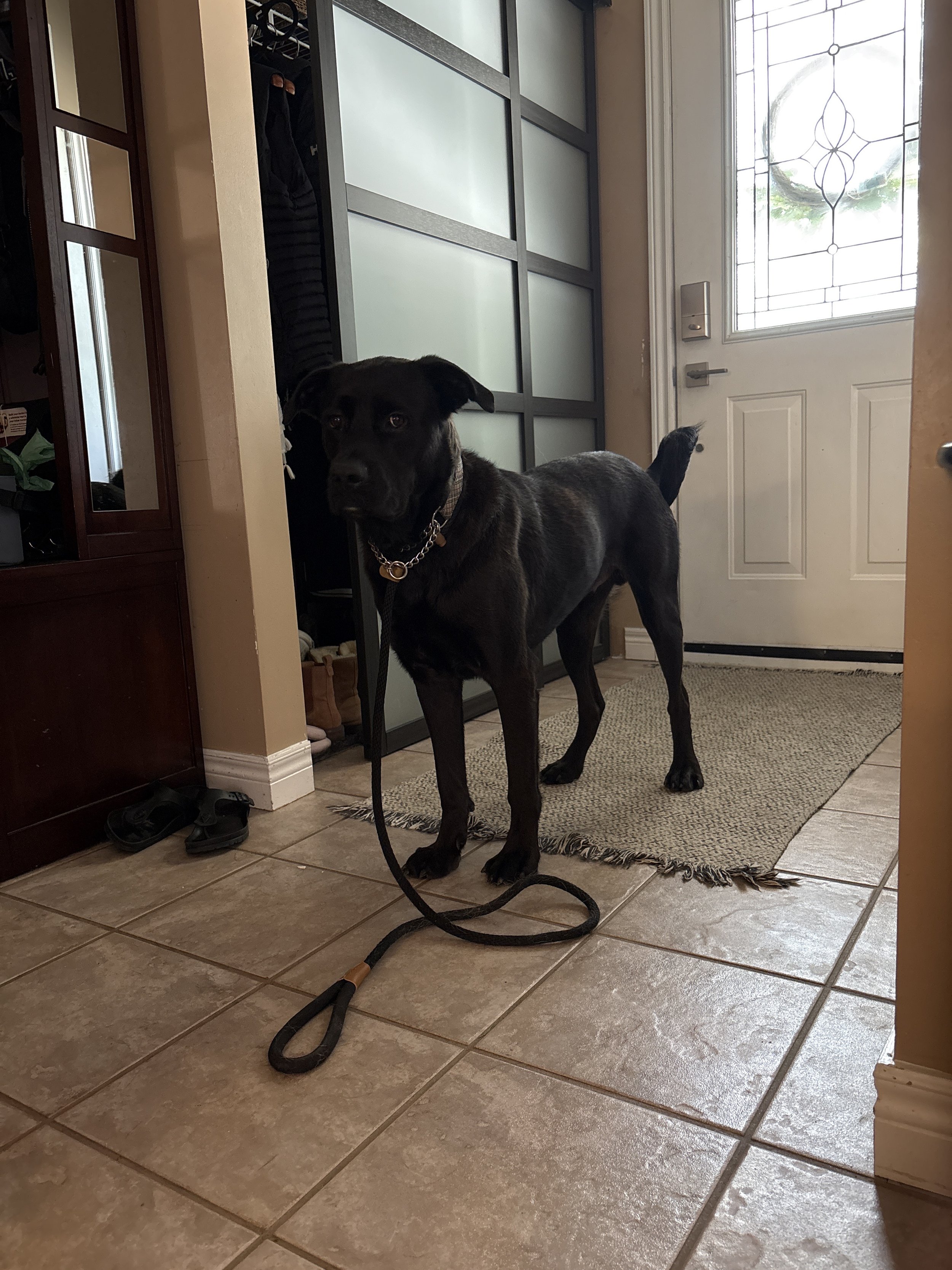 charlie (7).jpeg