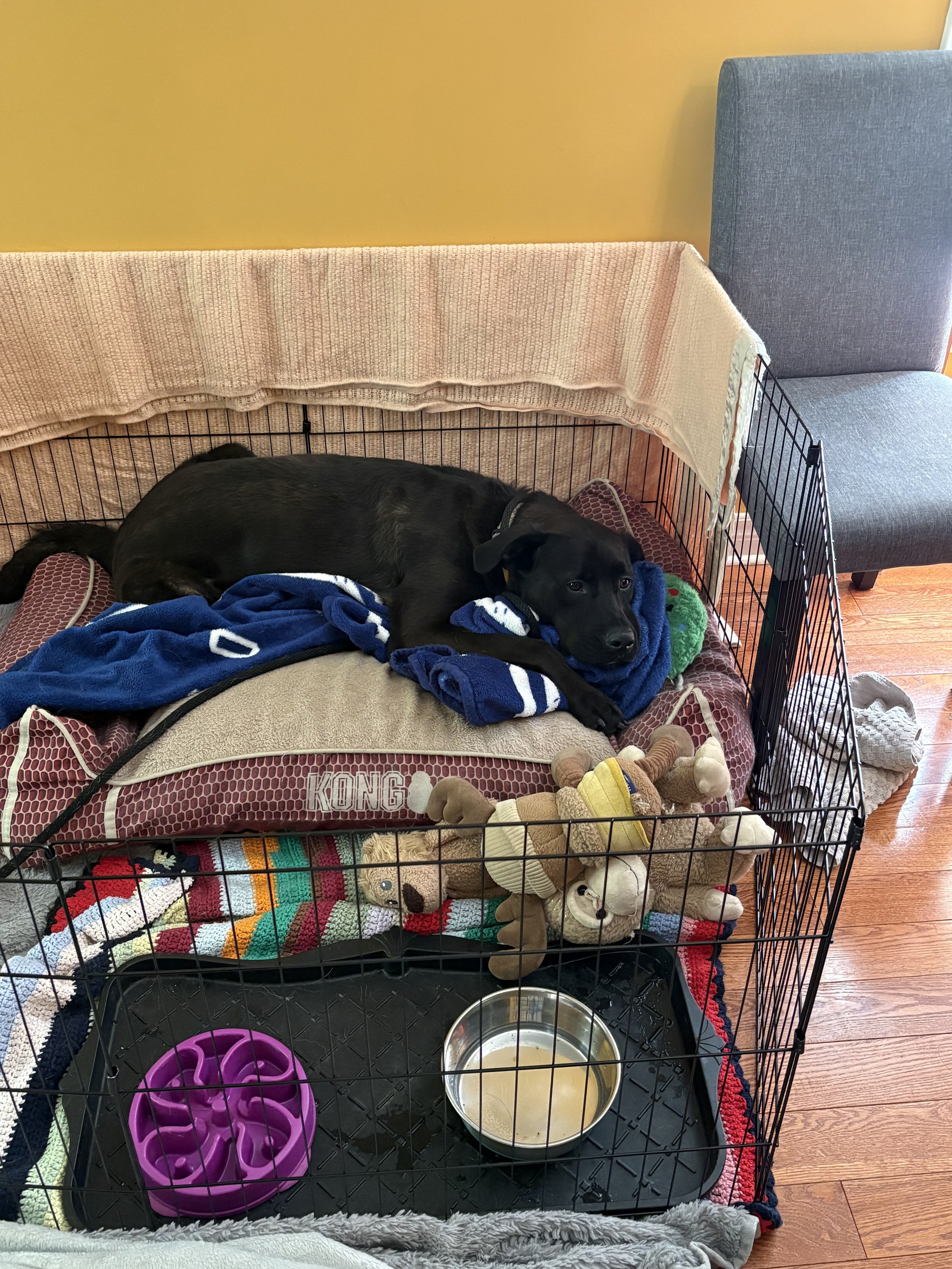 charlie (6).jpeg