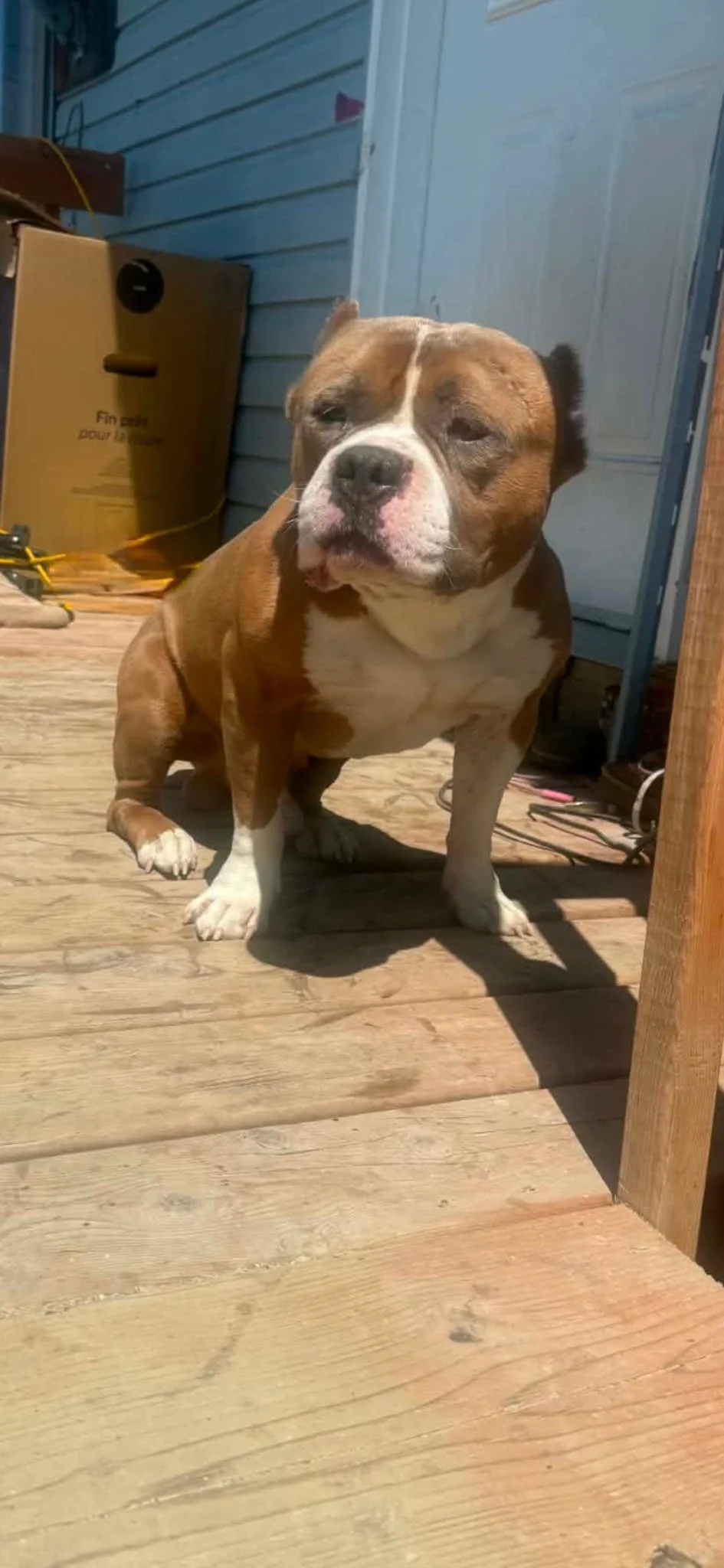 pablo