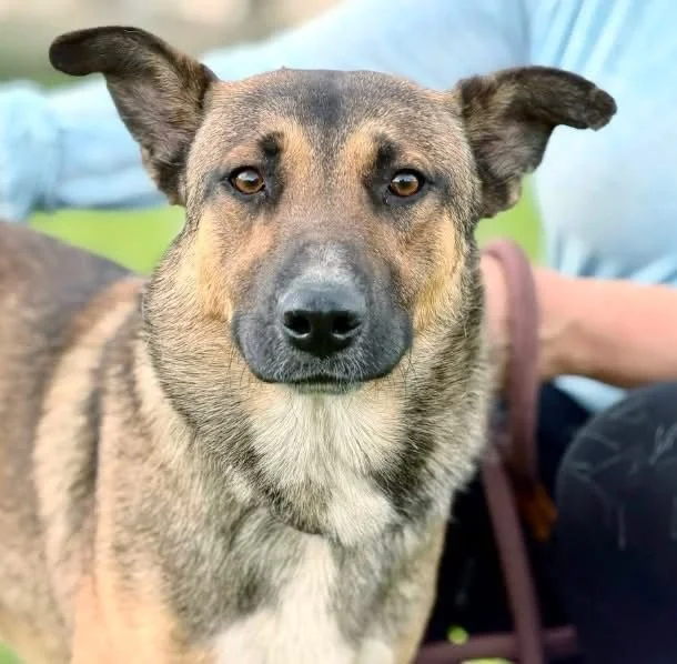 1000100554.jpg