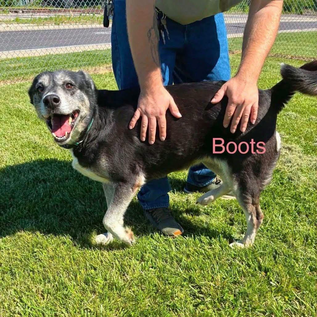 1000101114.jpg