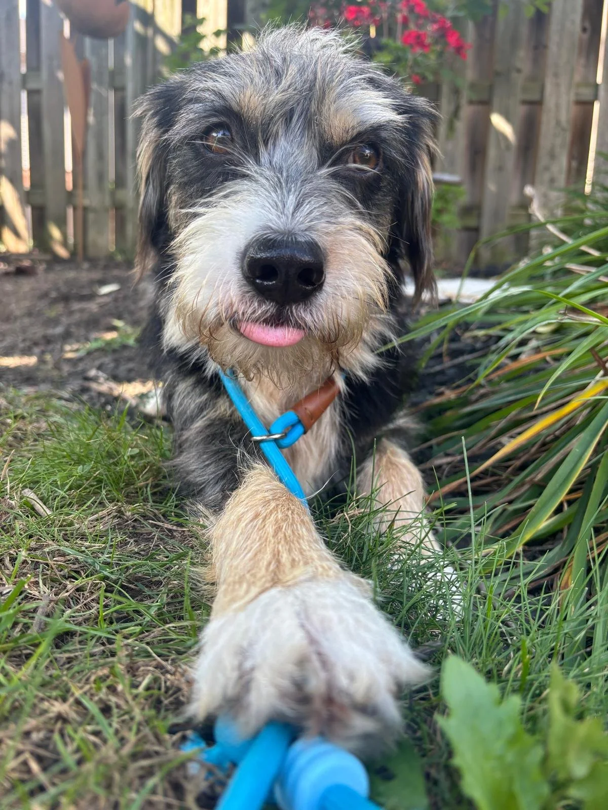 1000101916.jpg